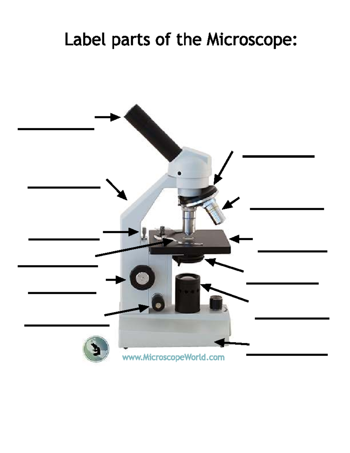 Label-microscope - worksheet - Science - LabelpartsoftheMicroscope ...