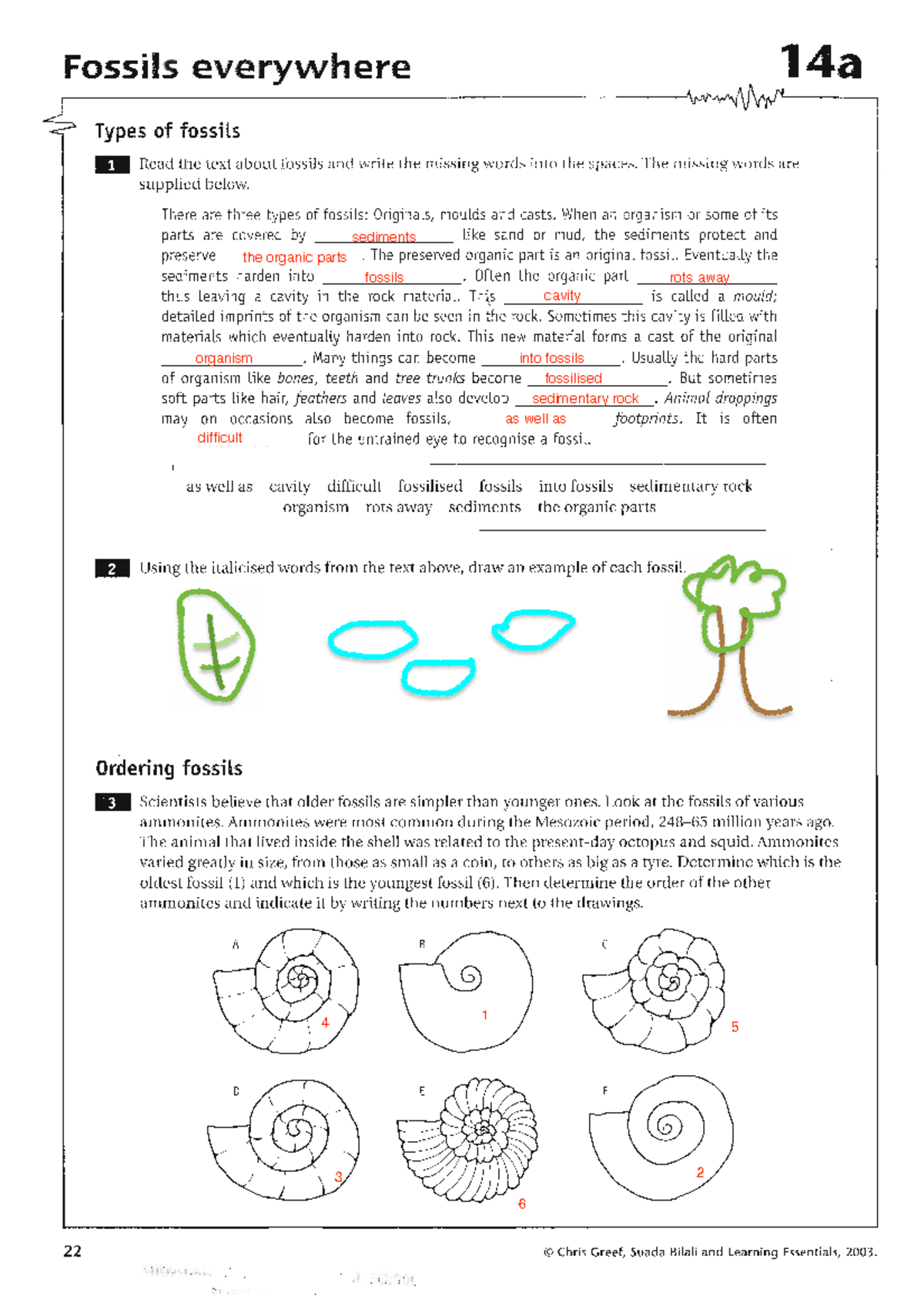 16.Order of Fossils in Rock Layers - Fossils everywhere 14a \Ay Types ...