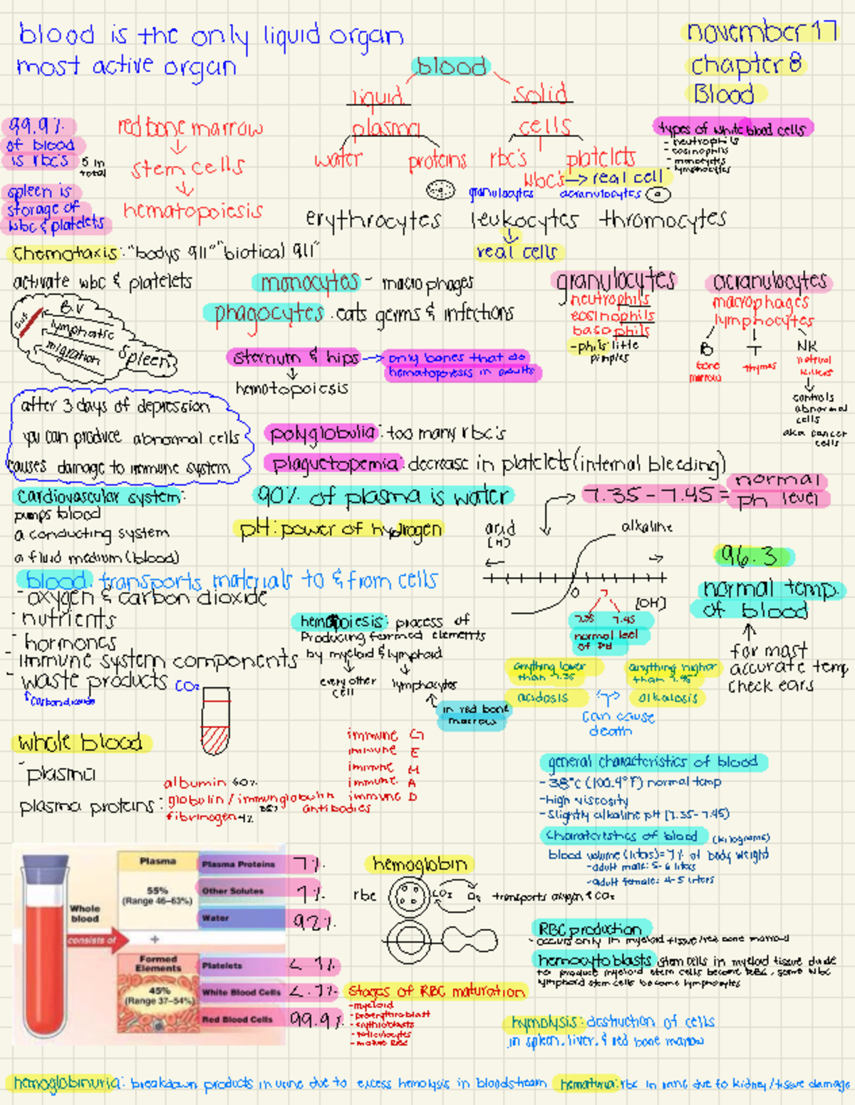 Anatomy and Physiology 3: Blood Composition and Functions Overview ...