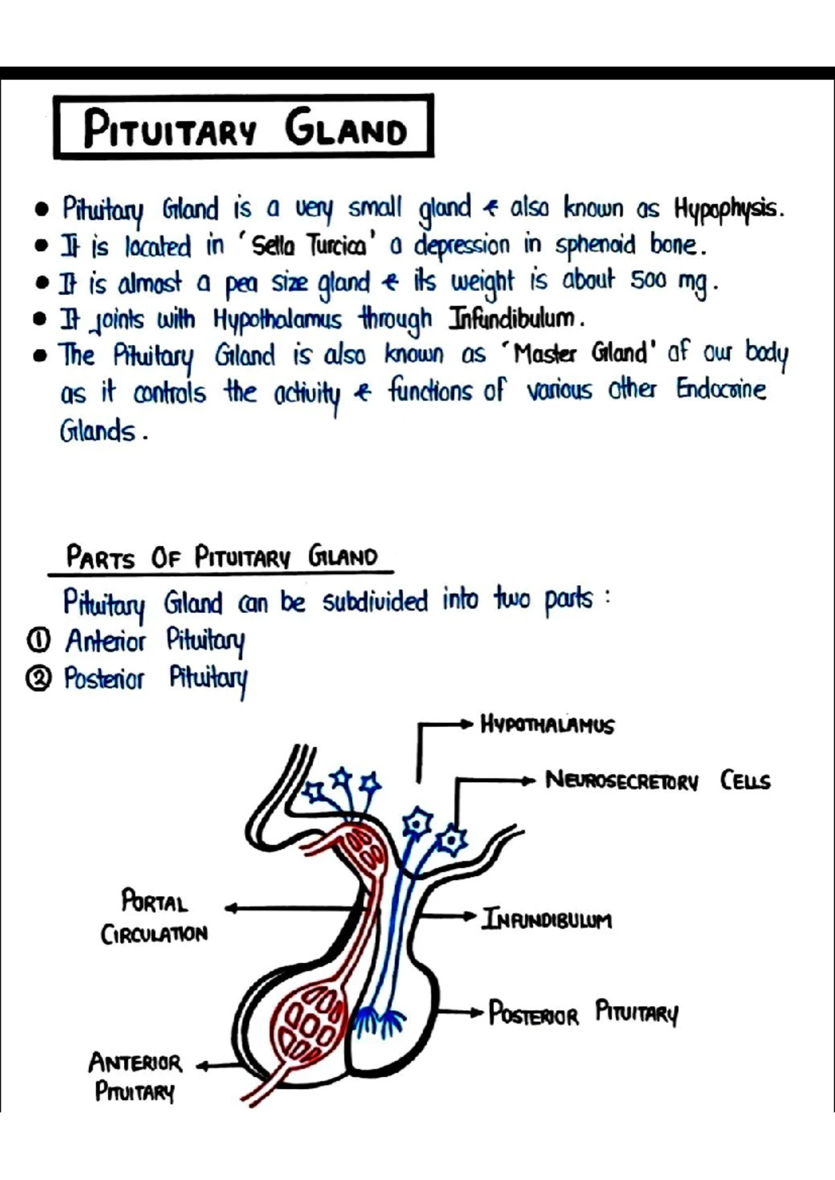 ARTH 101: Comprehensive Notes on Arthritis and Its Management - Studocu