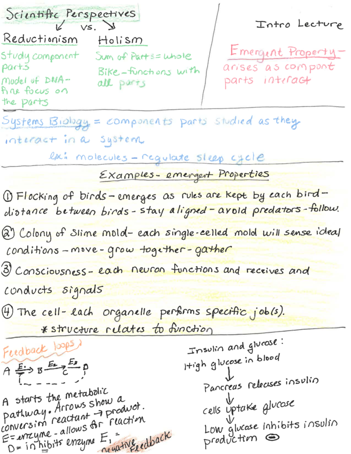 Scientific Perspectives: Reductionism vs. Holism in Systems Biology ...