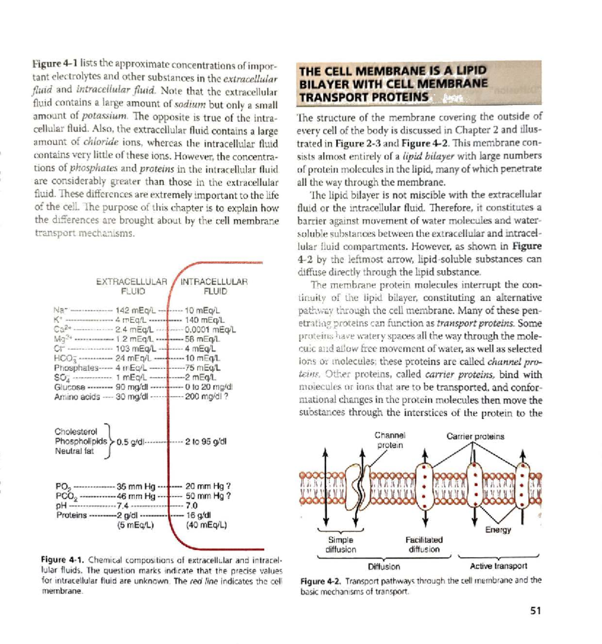 "Comprehensive Study Guide for ABC123: Cell Membrane Transport ...