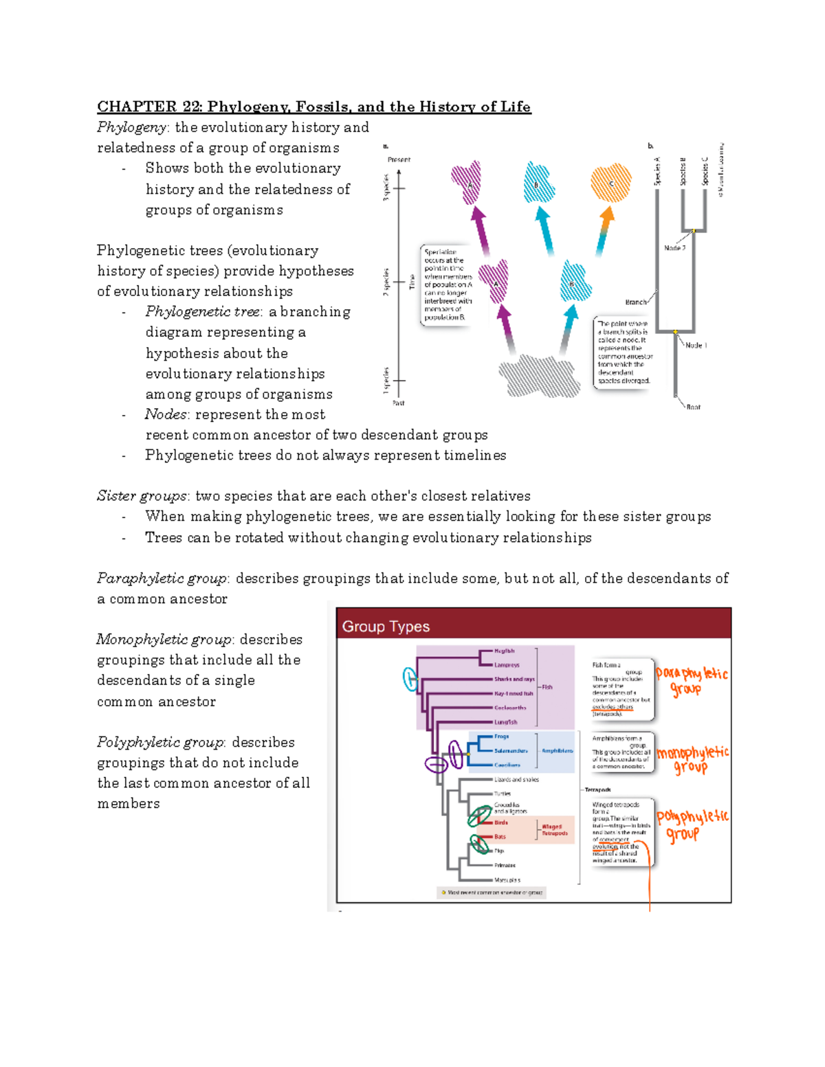 2150: Chapter22 - CHAPTER 22: Phylogeny, Fossils, and the History of ...