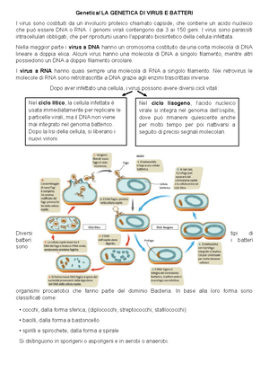 Riassunto-DNA - Riassunto generale del DNA, libro zanichelli - Il DNA ...
