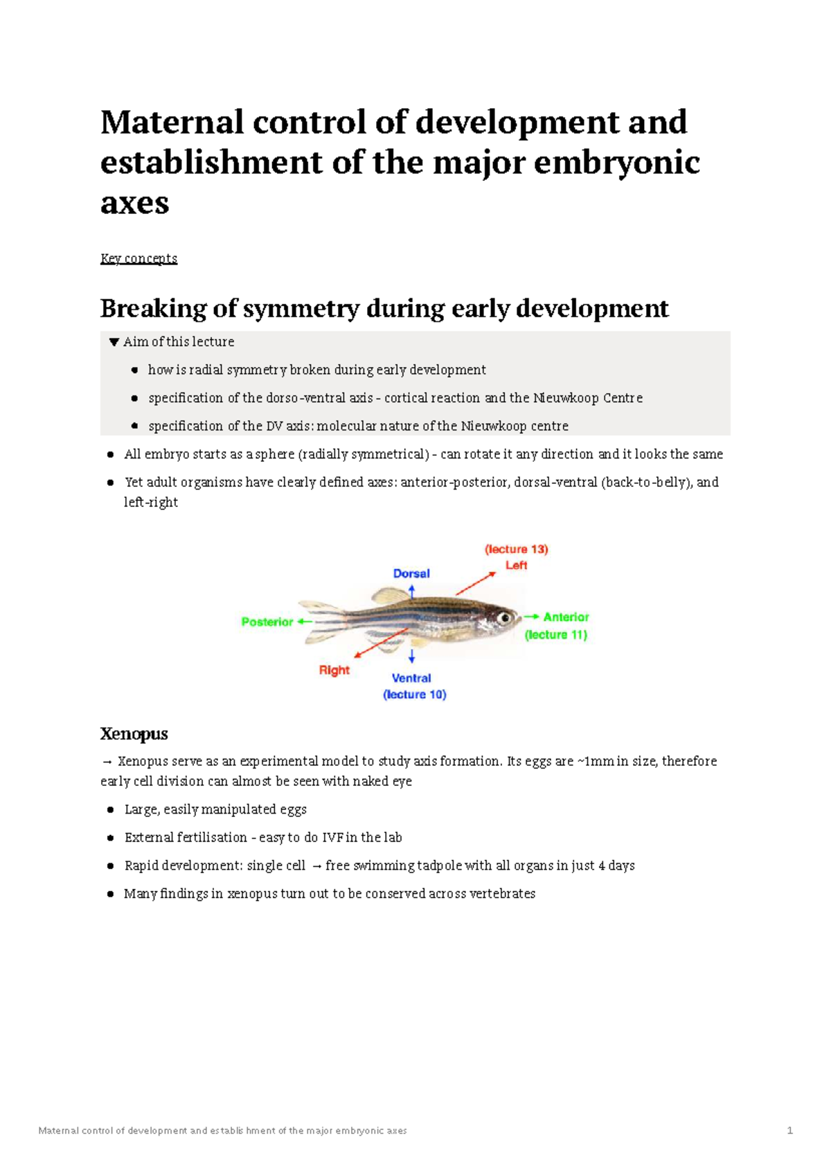Maternal Control of Development and Major Embryonic Axes (BIO 101 ...