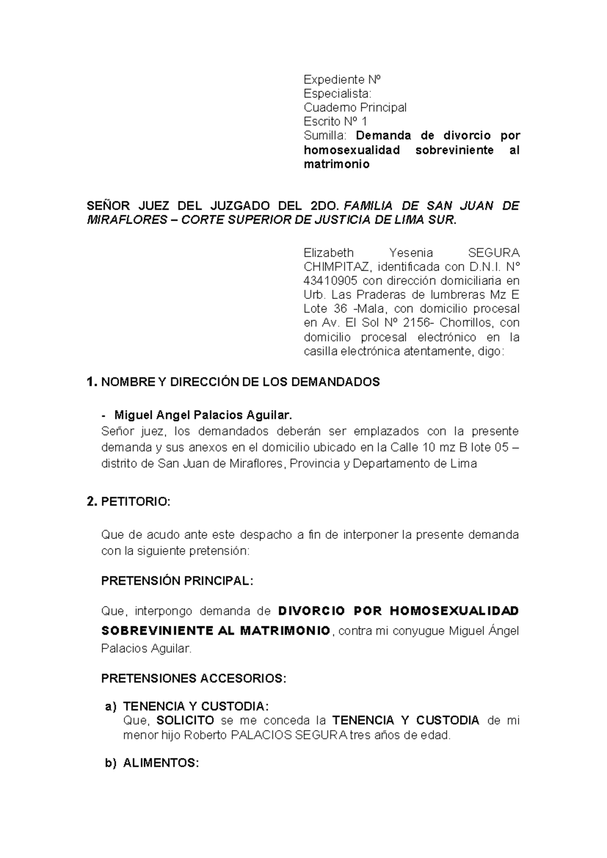 Demanda de Divorcio por Homosexualidad y Pretensiones Accesorias - Document Preview
