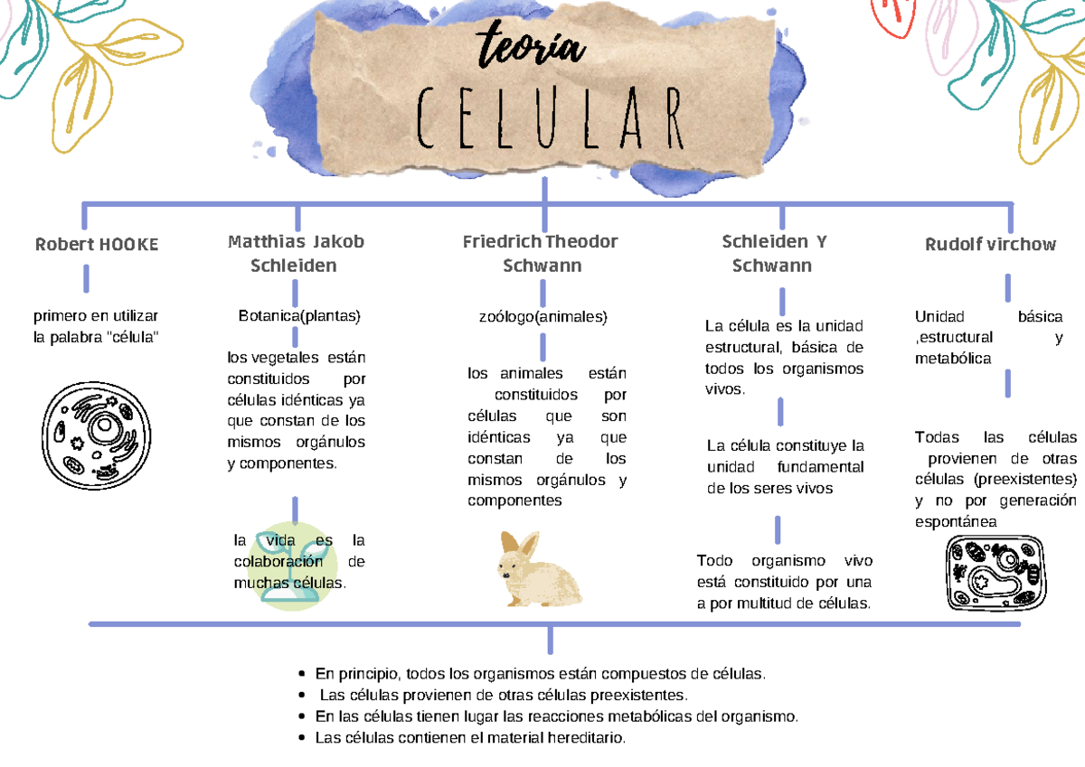 Cuadro Comparativo de los 5 Reinos - Biología 101 - Studocu