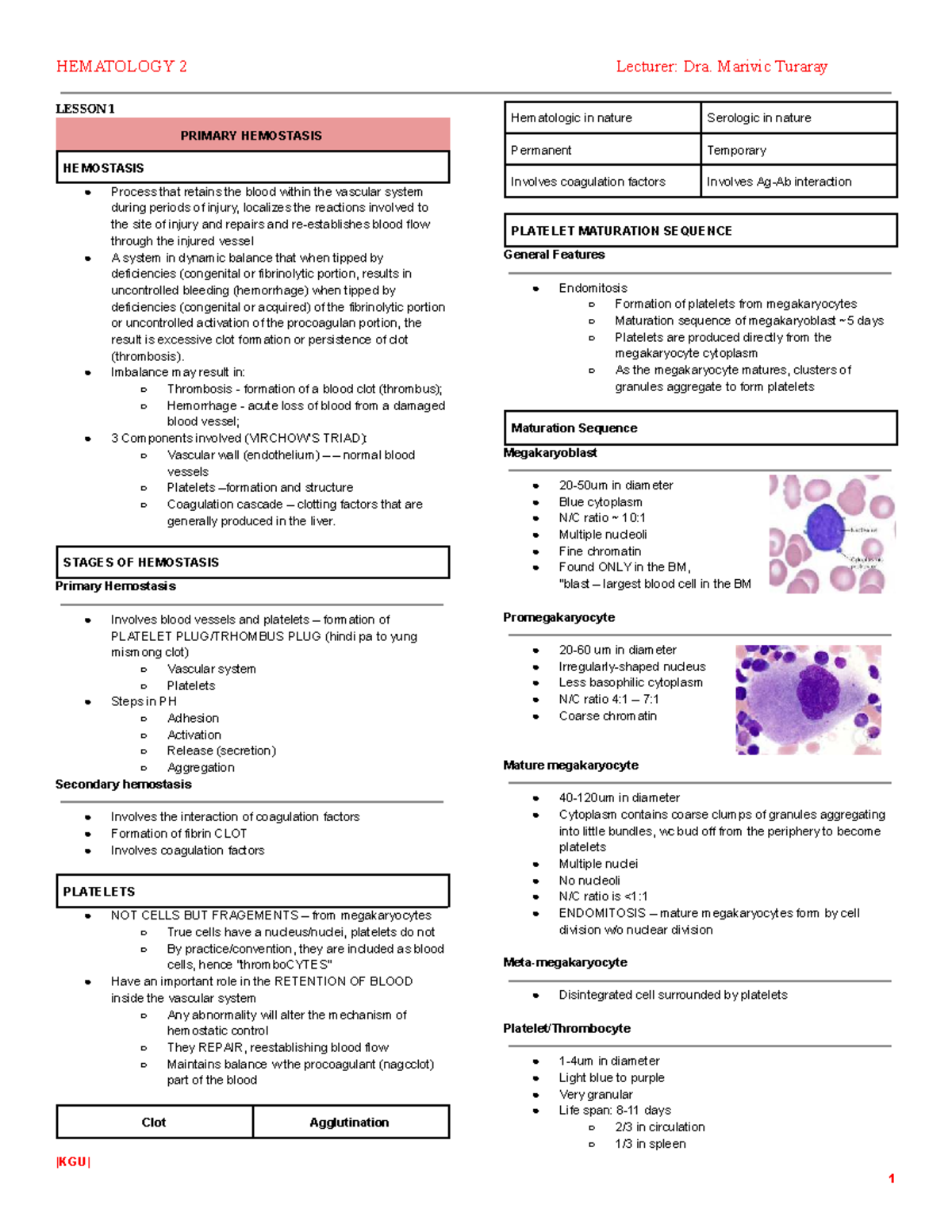HEMATOLOGY 2 TRANSCRIPT: PRIMARY HEMOSTASIS & PLATELET FUNCTION NOTES ...