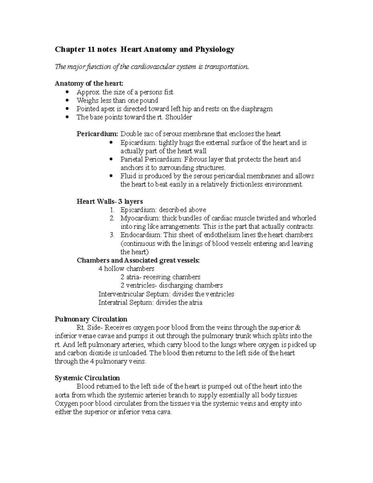 Anatomy & Physiology Study Guide: Key Concepts & Subdivisions - Studocu
