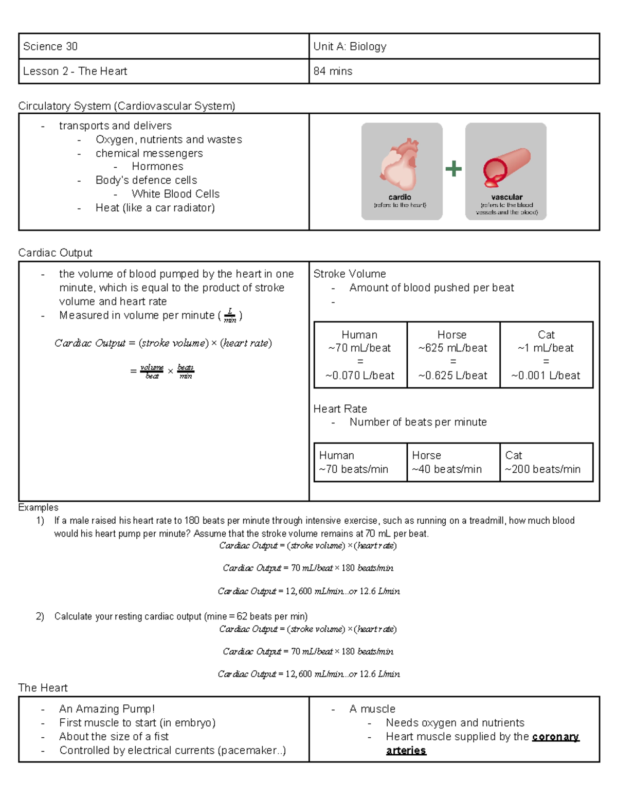 Biology 30 Lesson 2: The Heart - Review & Practice Problems - Studocu