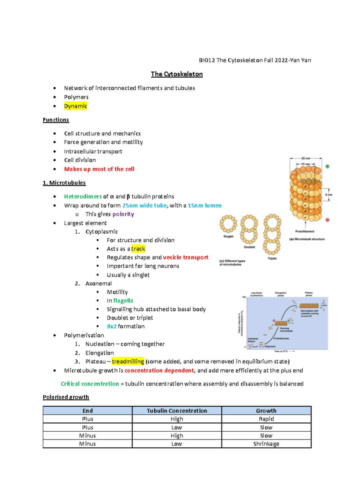 BIO12 The Cytoskeleton Lecture Notes - Fall 2022 - Studocu