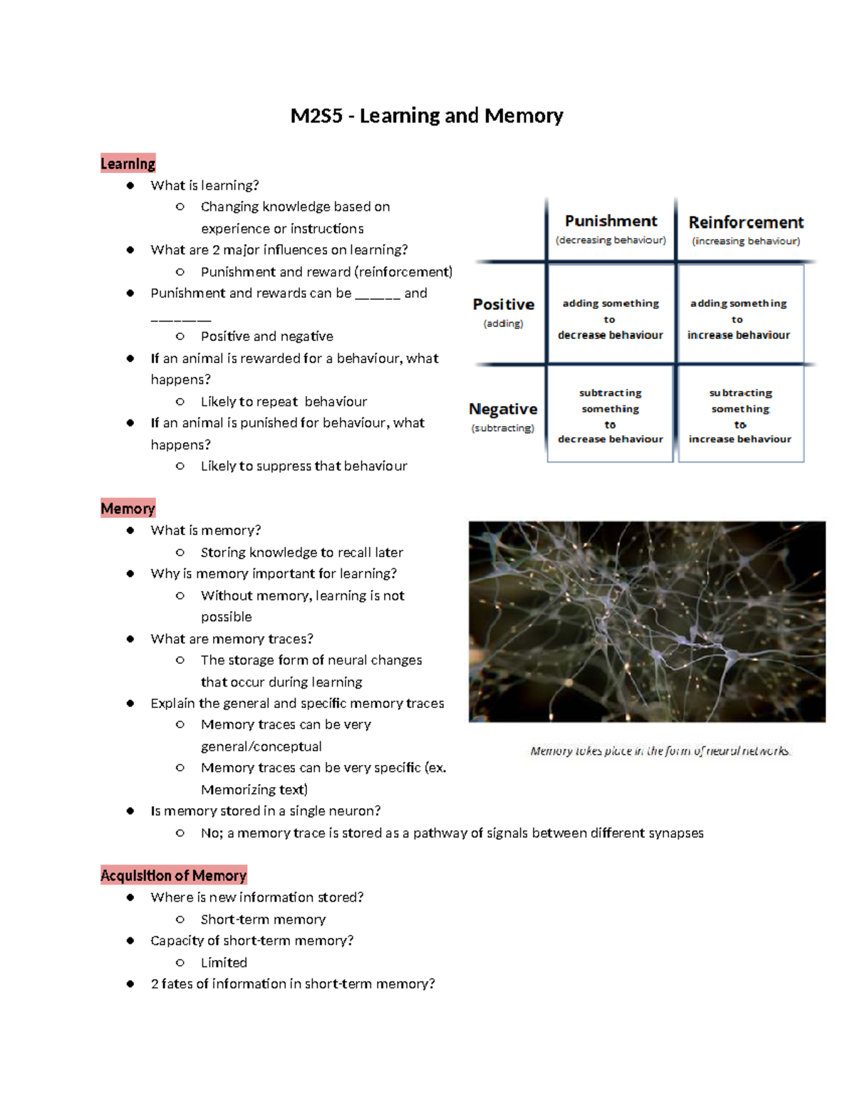 M2S5 - Learning and Memory Overview (PHGY 215) - Studocu