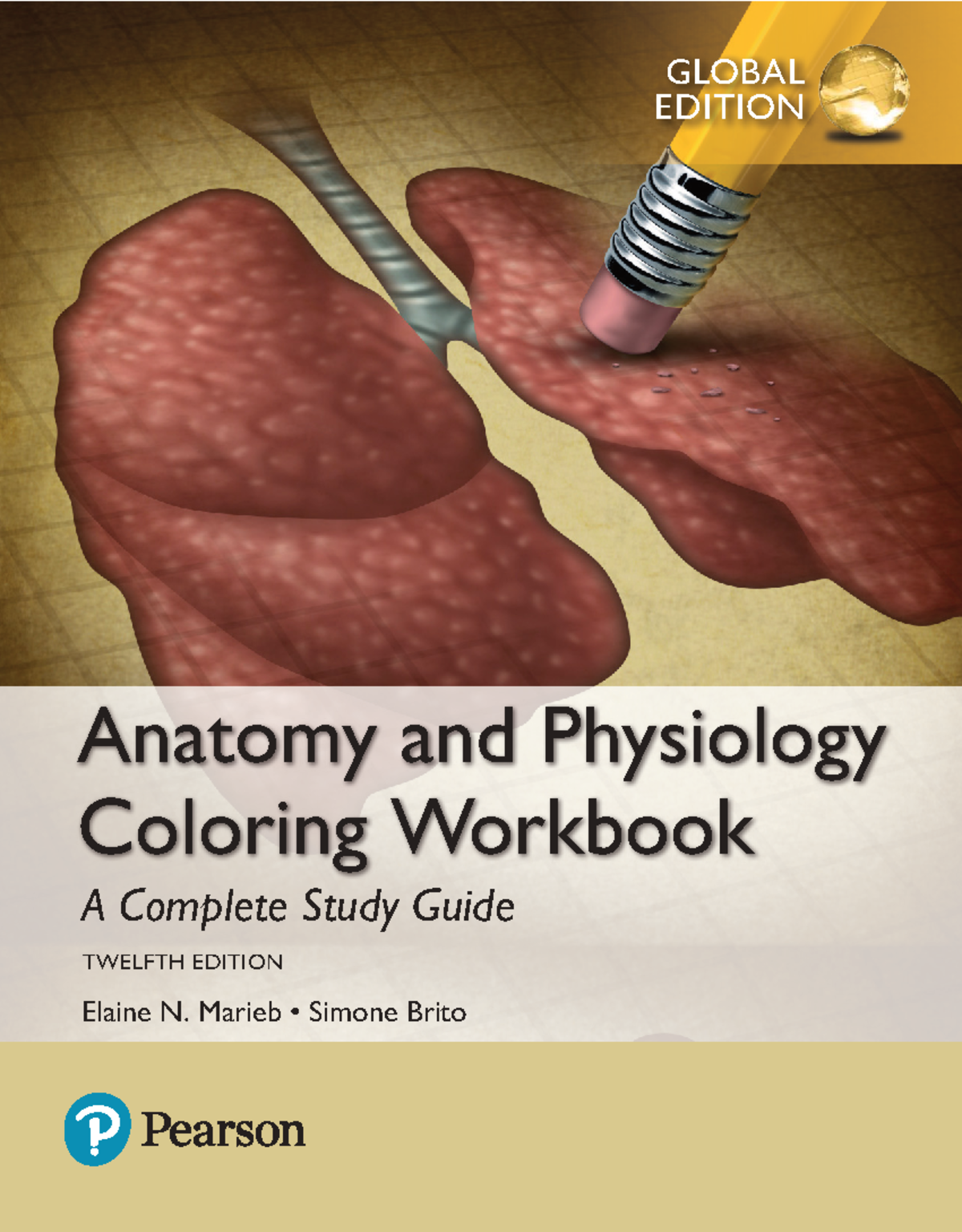 Anatomy & Physiology Coloring Workbook: Study Guide (12th Ed.) - Studocu