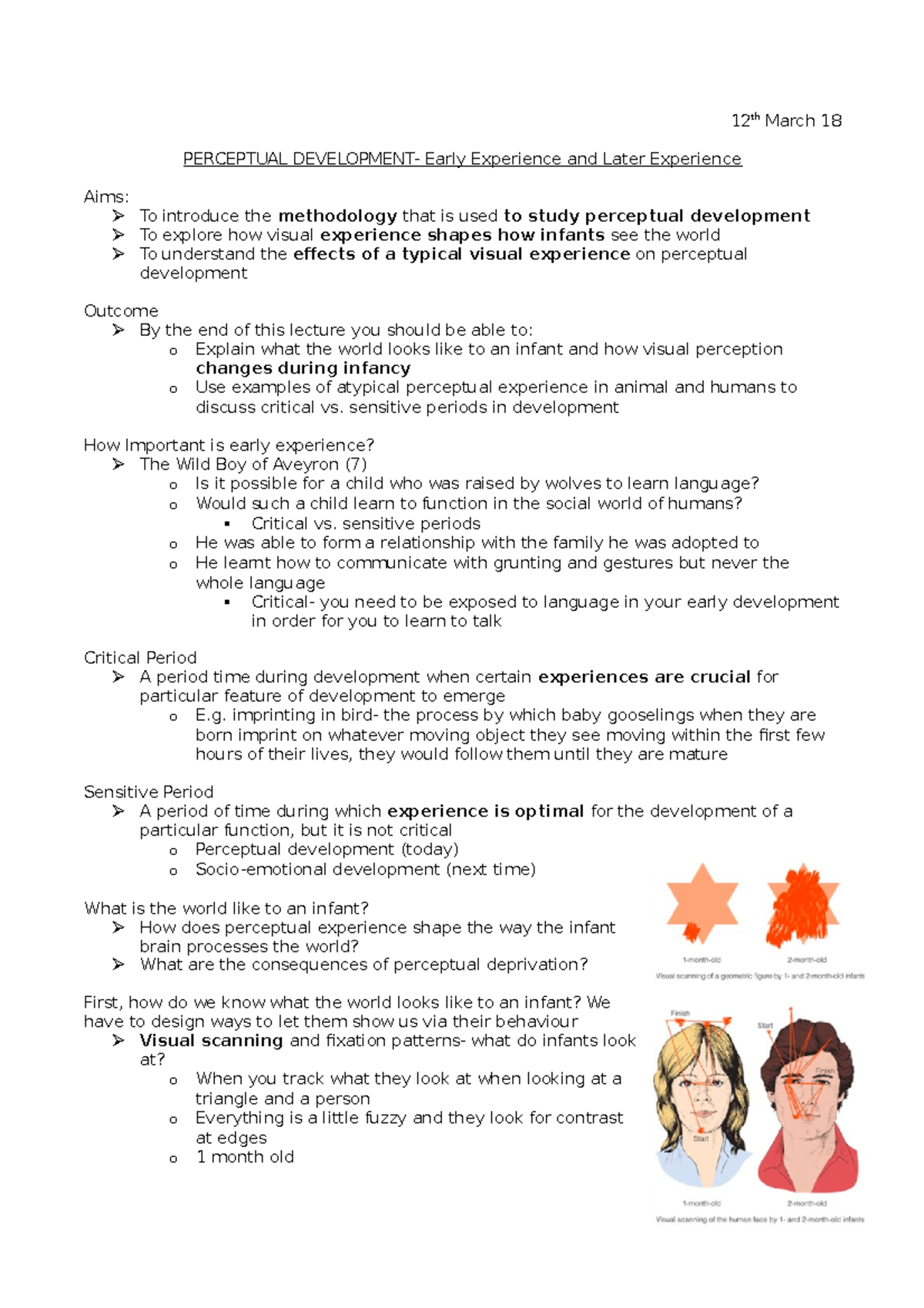 Week 3 Lecture Notes: Perceptual and Cognitive Development in Psy 101 ...