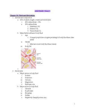 QUIZ 1 Fluid, Electrolyte AND ACID BASE Balance - QUIZ 1 FLUID ...