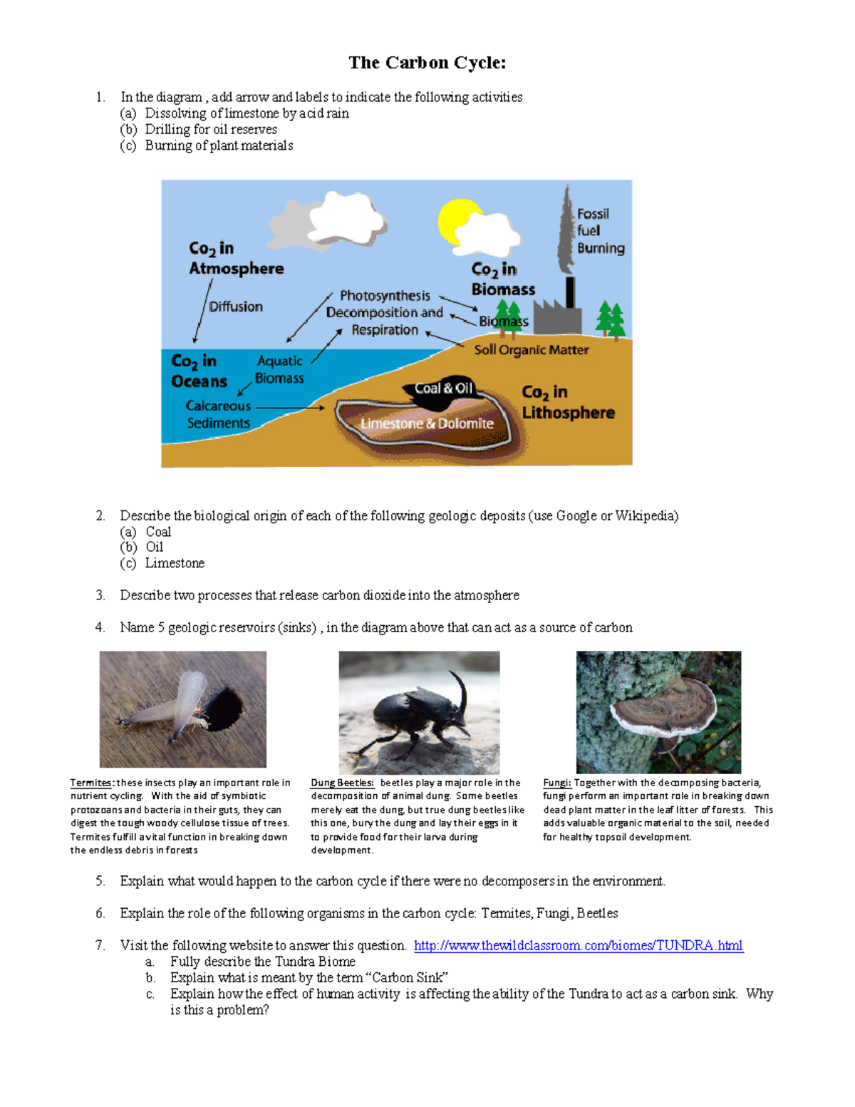 The Carbon Cycle Worksheet Answers Biozone #onthisday Reminder: I Have