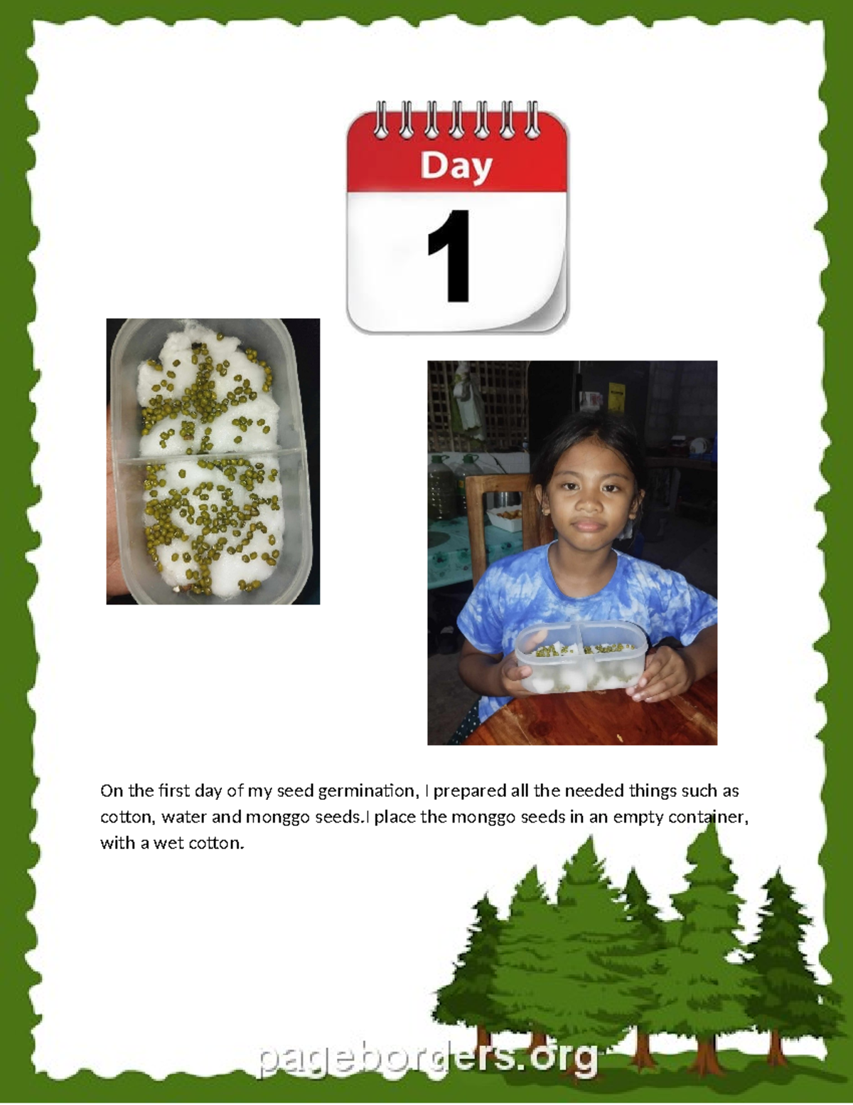Grade II SSES: Monggo Seed Germination Project Report - Studocu