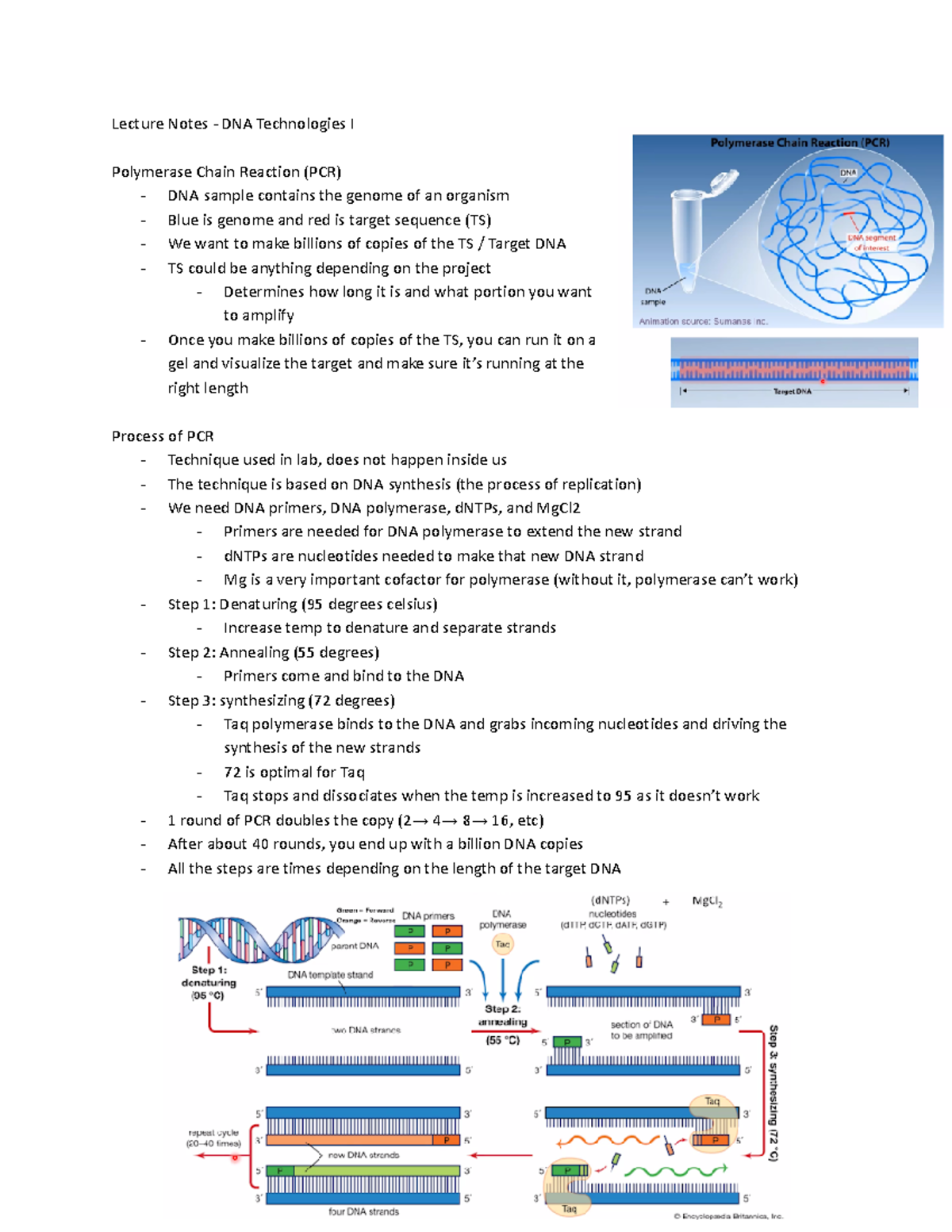 Cycle 10 - DNA Technologies and its applications - Lecture Notes - DNA ...