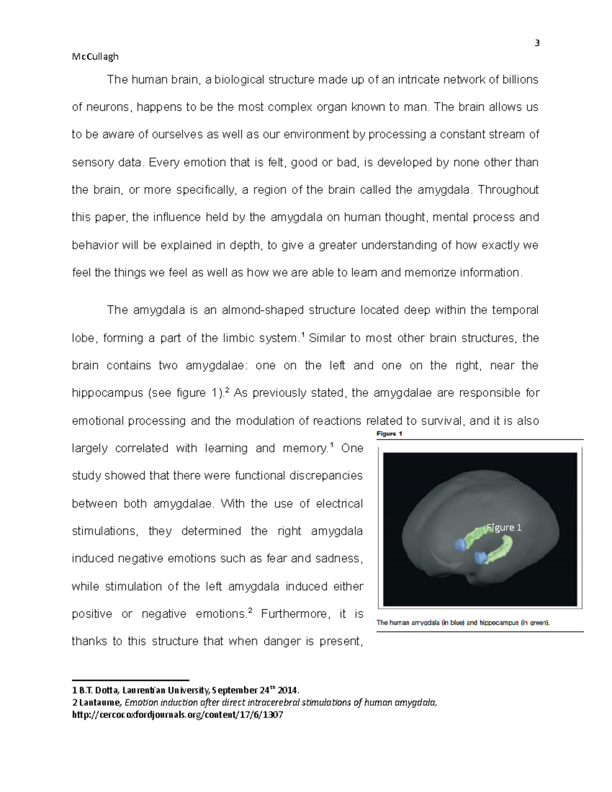 Understanding the Amygdala's Role in Emotion and Behavior - Studocu