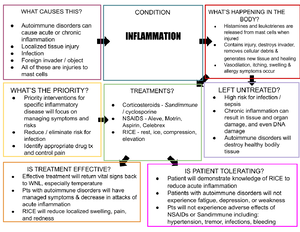 Pharm 101: Comprehensive Study Guide for Exam 1 on Pharmacology - Studocu