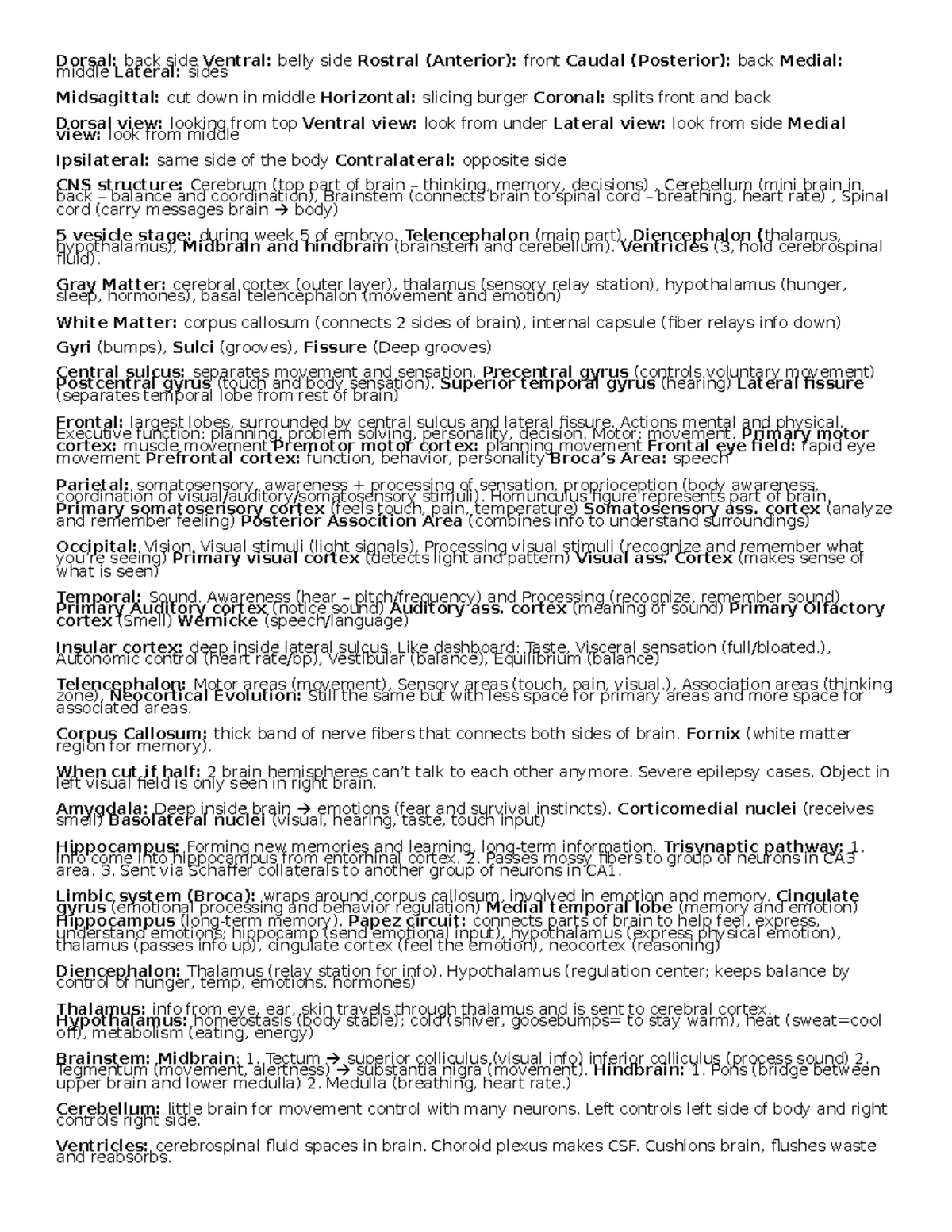 Neuro 101: Summary notes on chemical control of the brain and ...