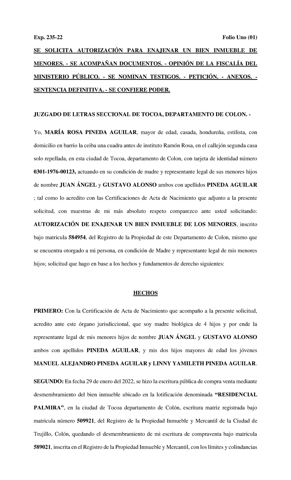 Solicitud de Autorización para Enajenar Bienes de Menores - Exp. 235-22 - Document Preview