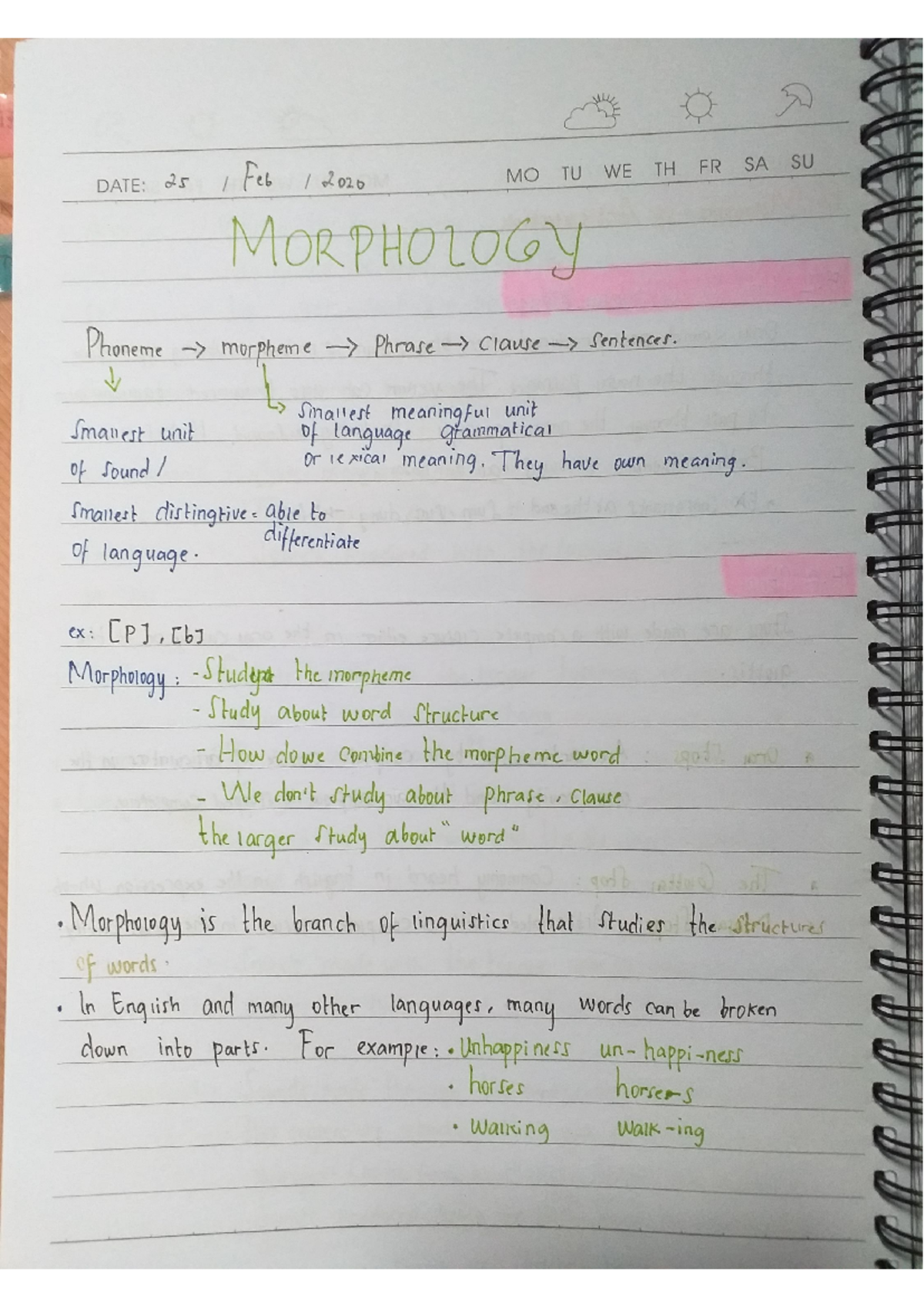 Linguistic Morphology: Understanding Structure and Form - Studocu
