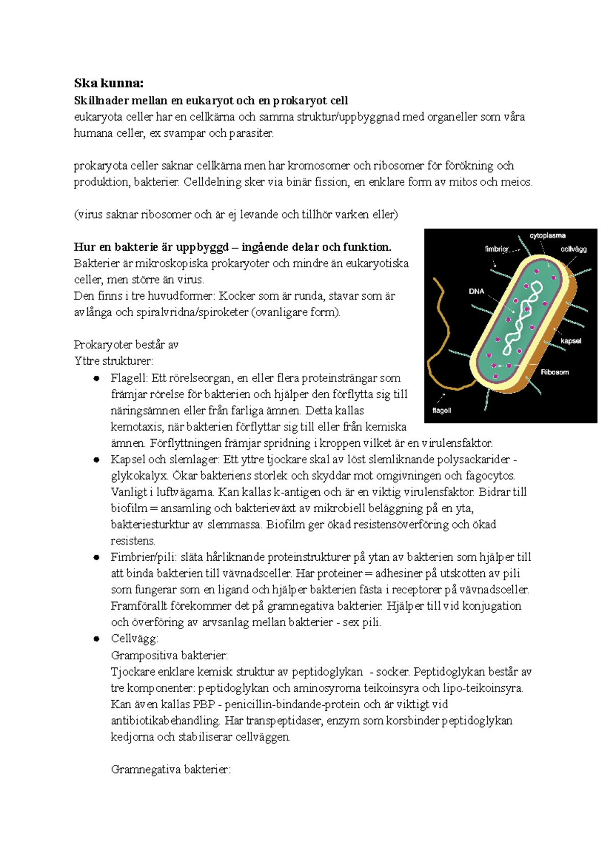 elfbar elfa kaufen Konjugation Verb „aufspringen“ (unr., ist) - alle Zeitformen, Lernvideo,  Tutorial main image 1