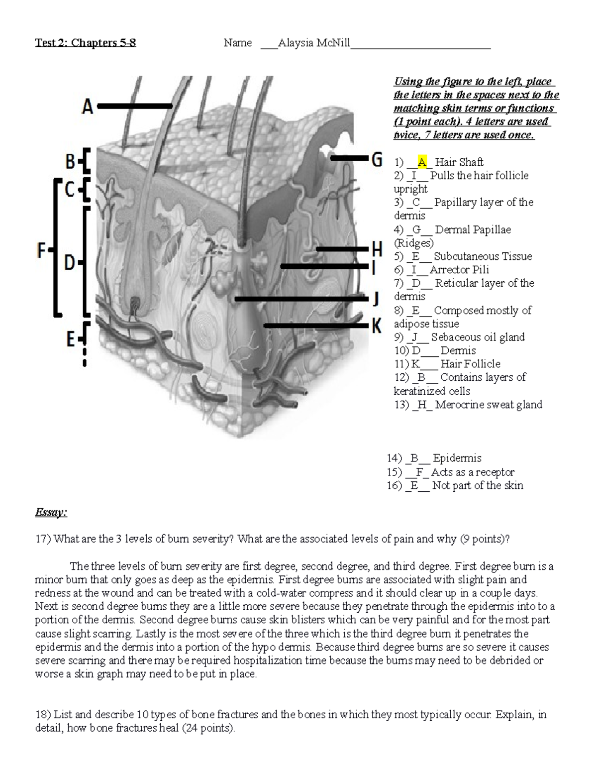 Test 2 - In-Depth Review of Chapters 5-8 and Key Concepts - Studocu