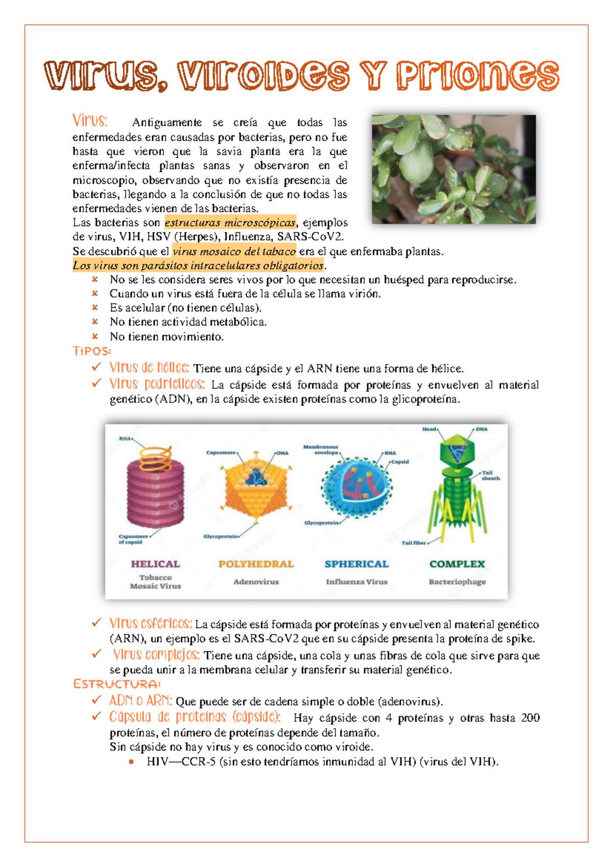 Clase 2: Características de Virus, Viroides y Priones en Biología - Studocu