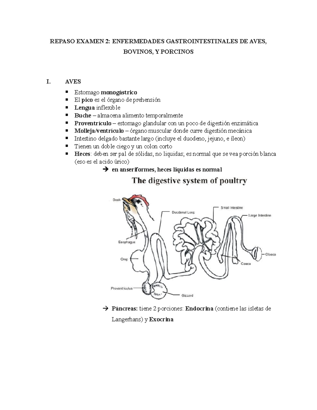 Repaso para el Examen 2: Enfermedades Gastrointestinales en Animales - Document Preview