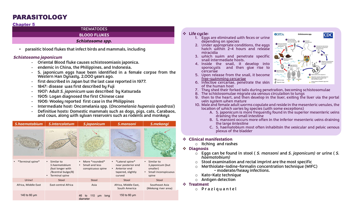 PARASITOLOGY Chapter 5: Trematodes and Their Life Cycles - Studocu