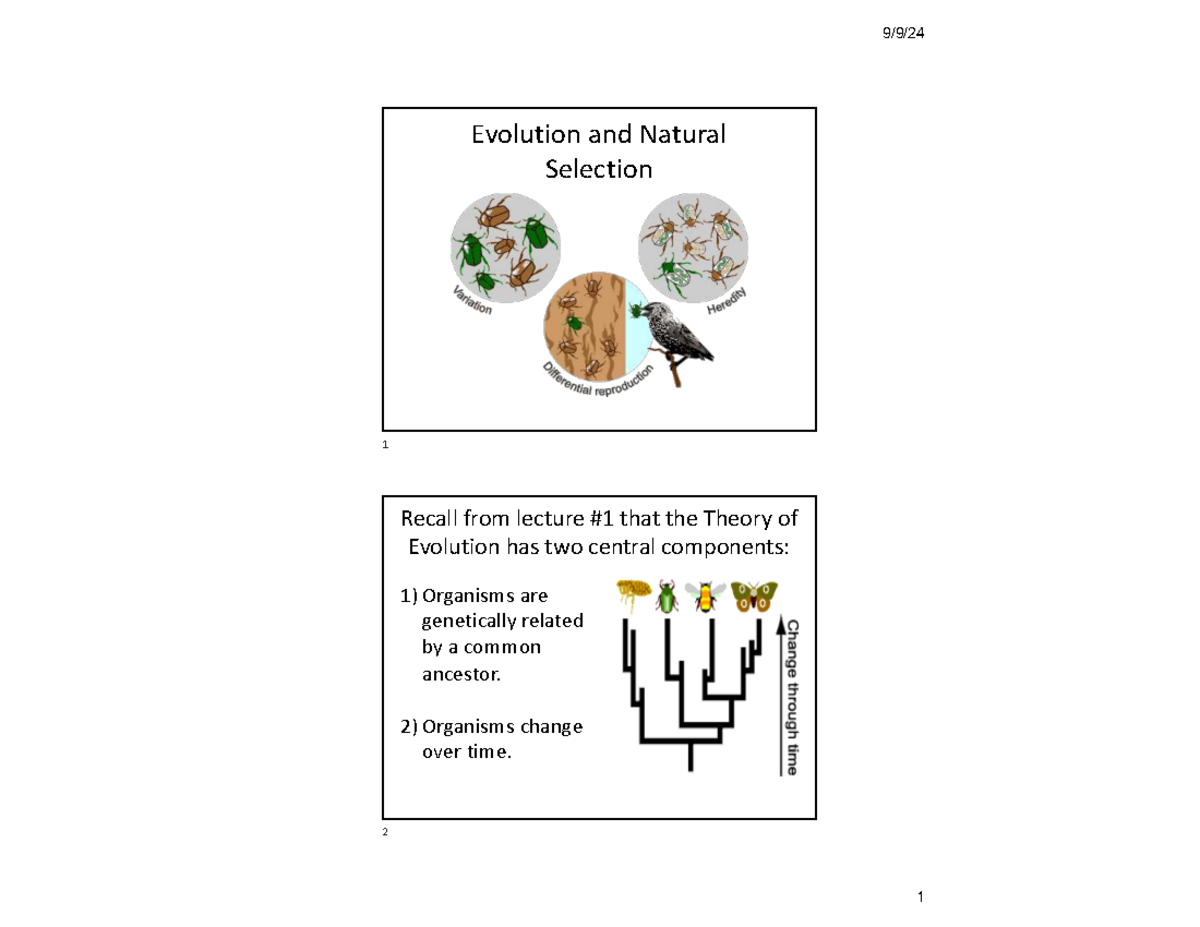Natural Selection and Evolution: Key Concepts and Mechanisms (BIOL 101 ...