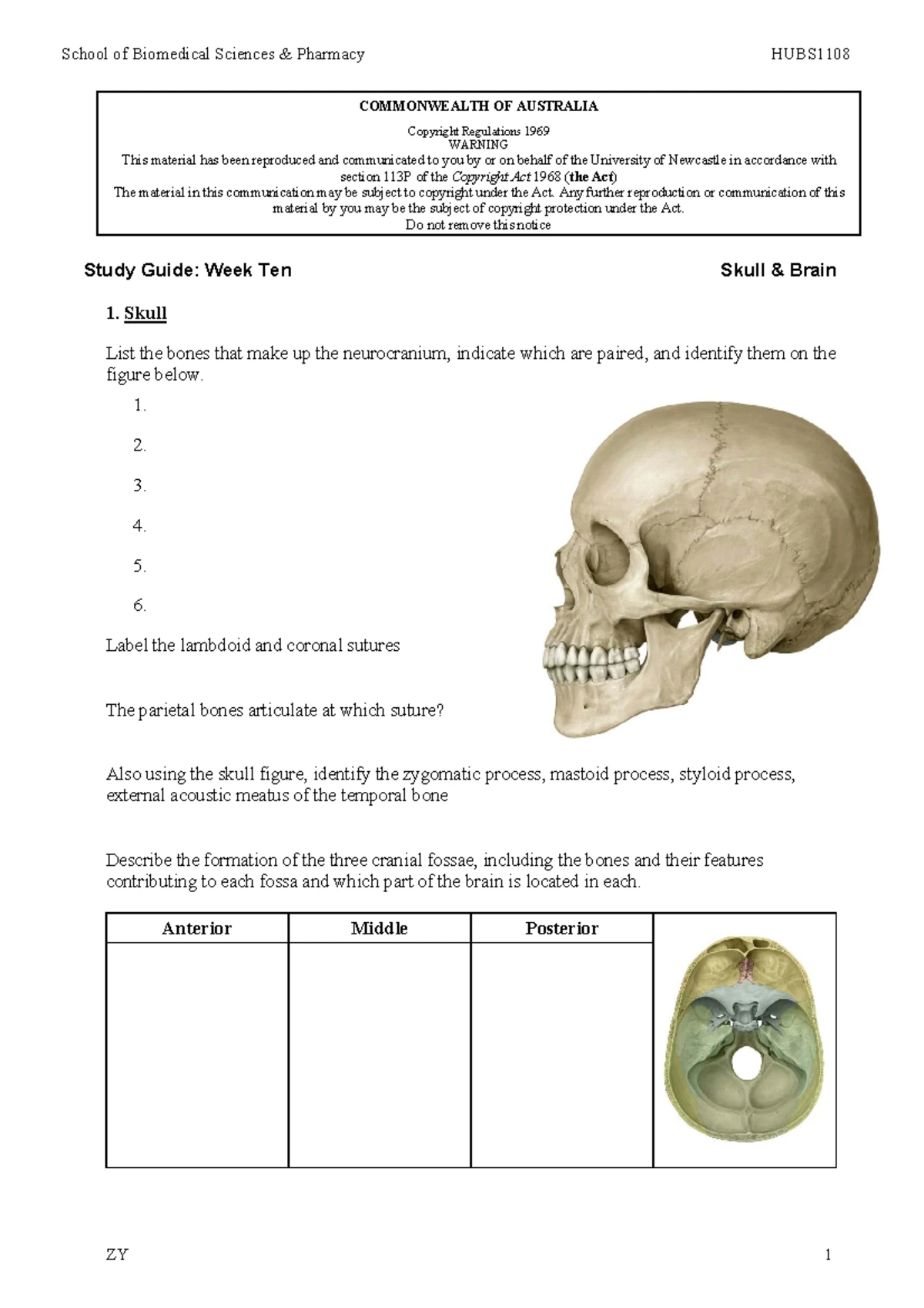 Wk 2 Study Guide: Vertebral Column & Axial Musculature - HUBS1108 - Studocu