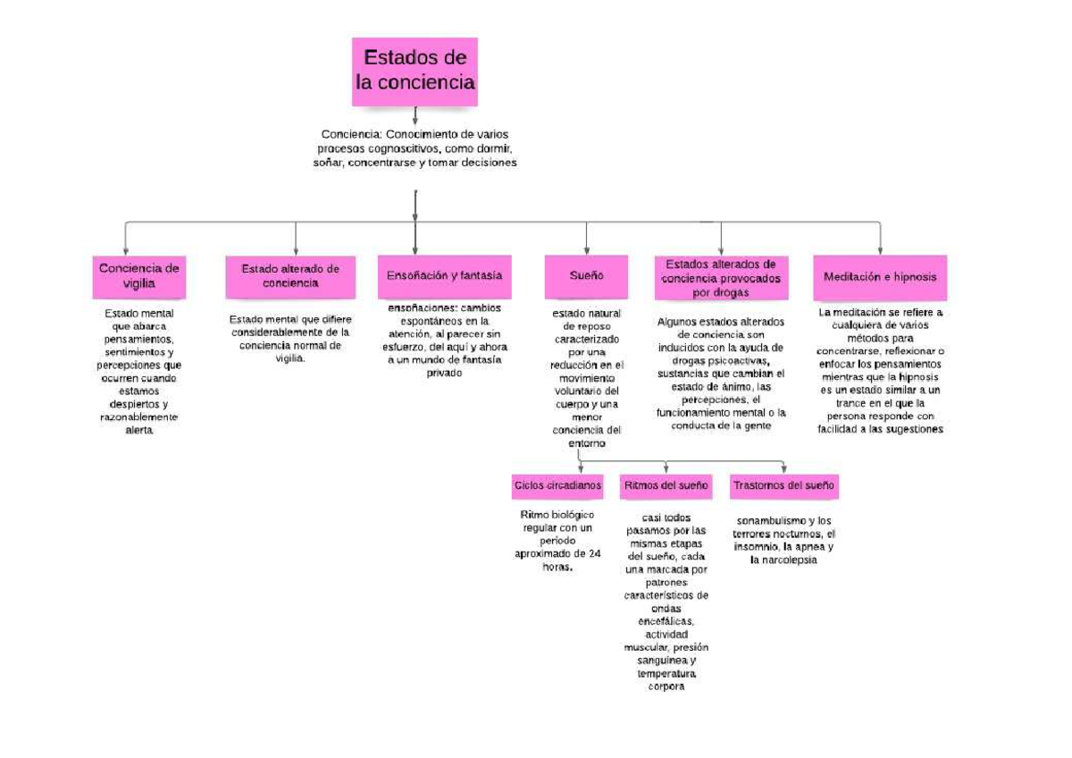 Mapa Conceptual sobre el Estado de la Conciencia: Claves y Temas - Studocu