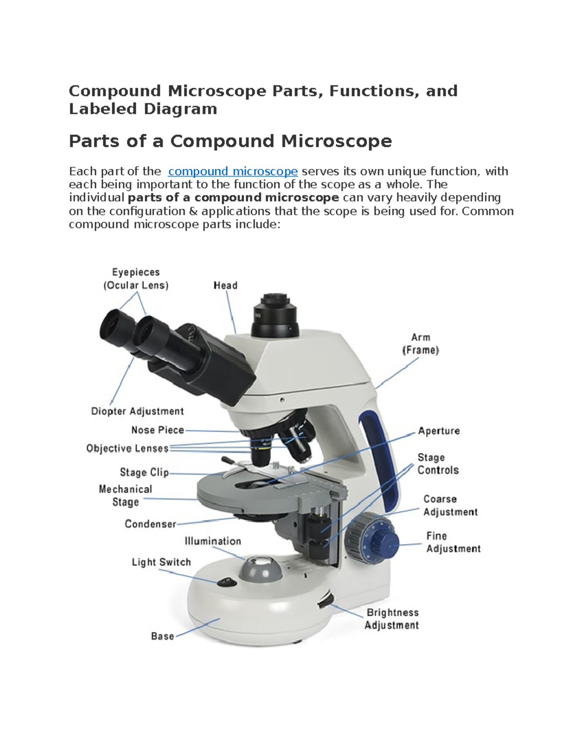 Microscope Condenser Function