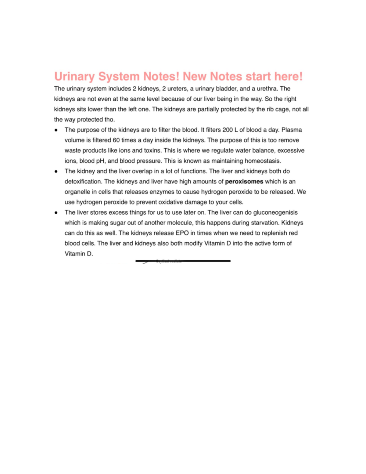 Urinary System Study Guide with Key Concepts for BIO 101 Exam - Studocu