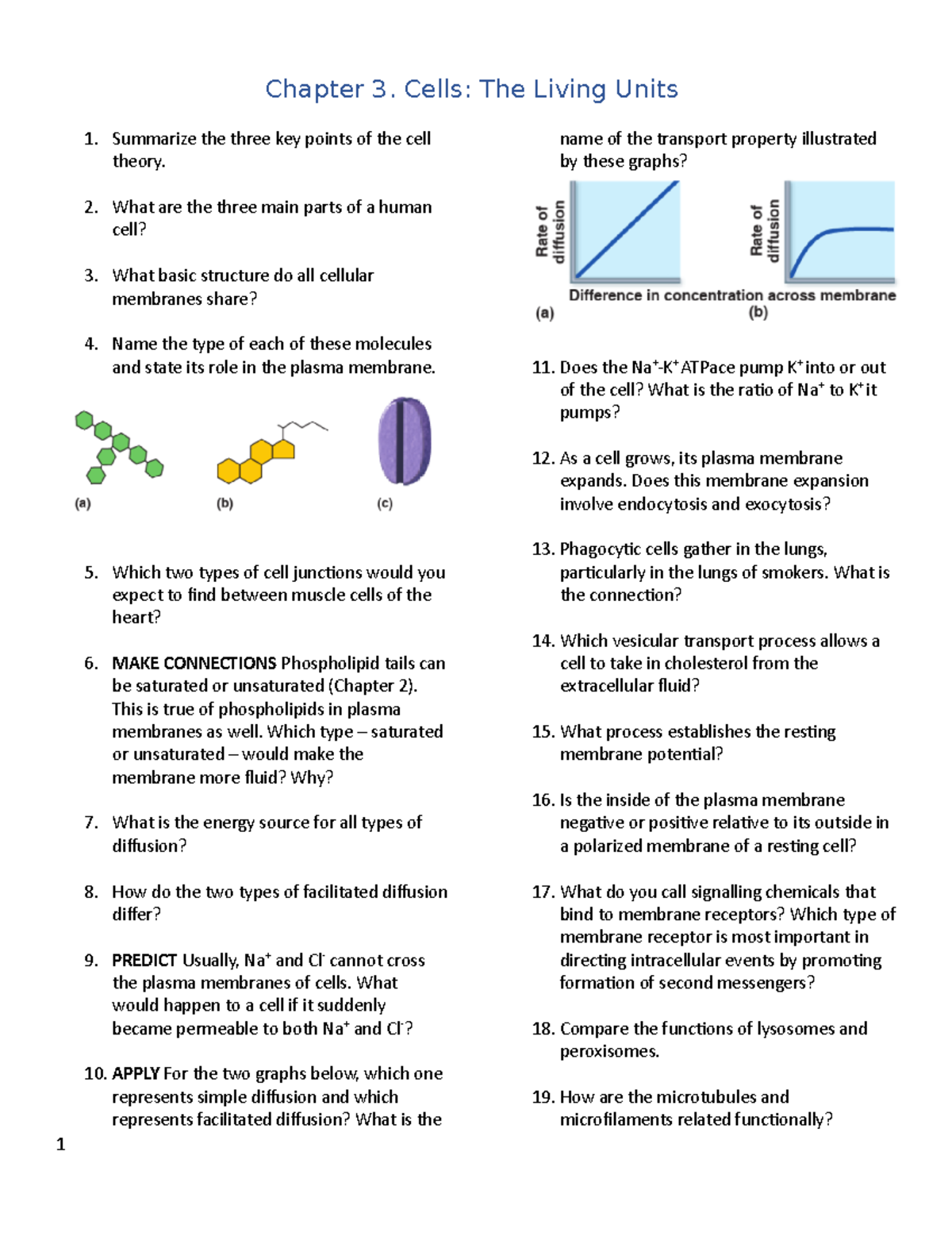 Chapter 3. Practice Questions - Chapter 3. Cells: The Living Units ...
