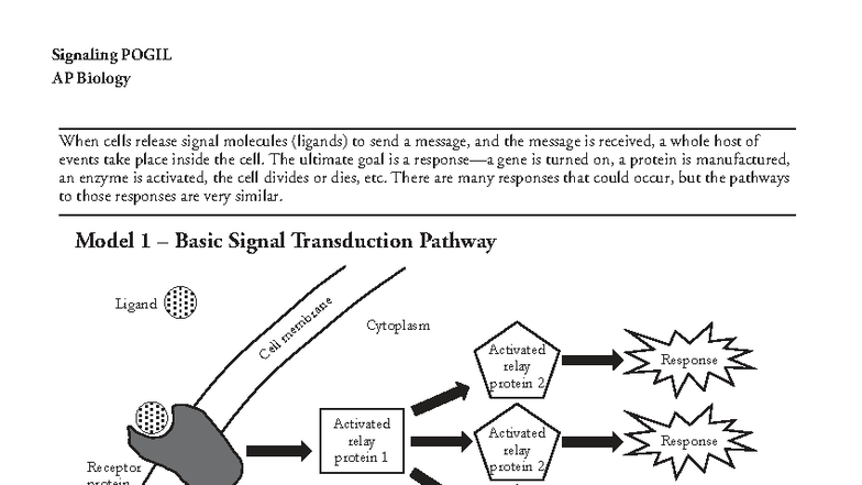 Signal Transduction Pathways Pogil Answer Key