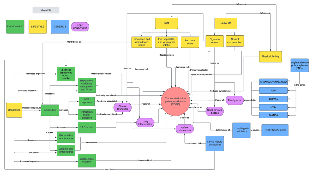BIOL1080 COPD Concept Map: Integrated Thinking Assignment - Studocu