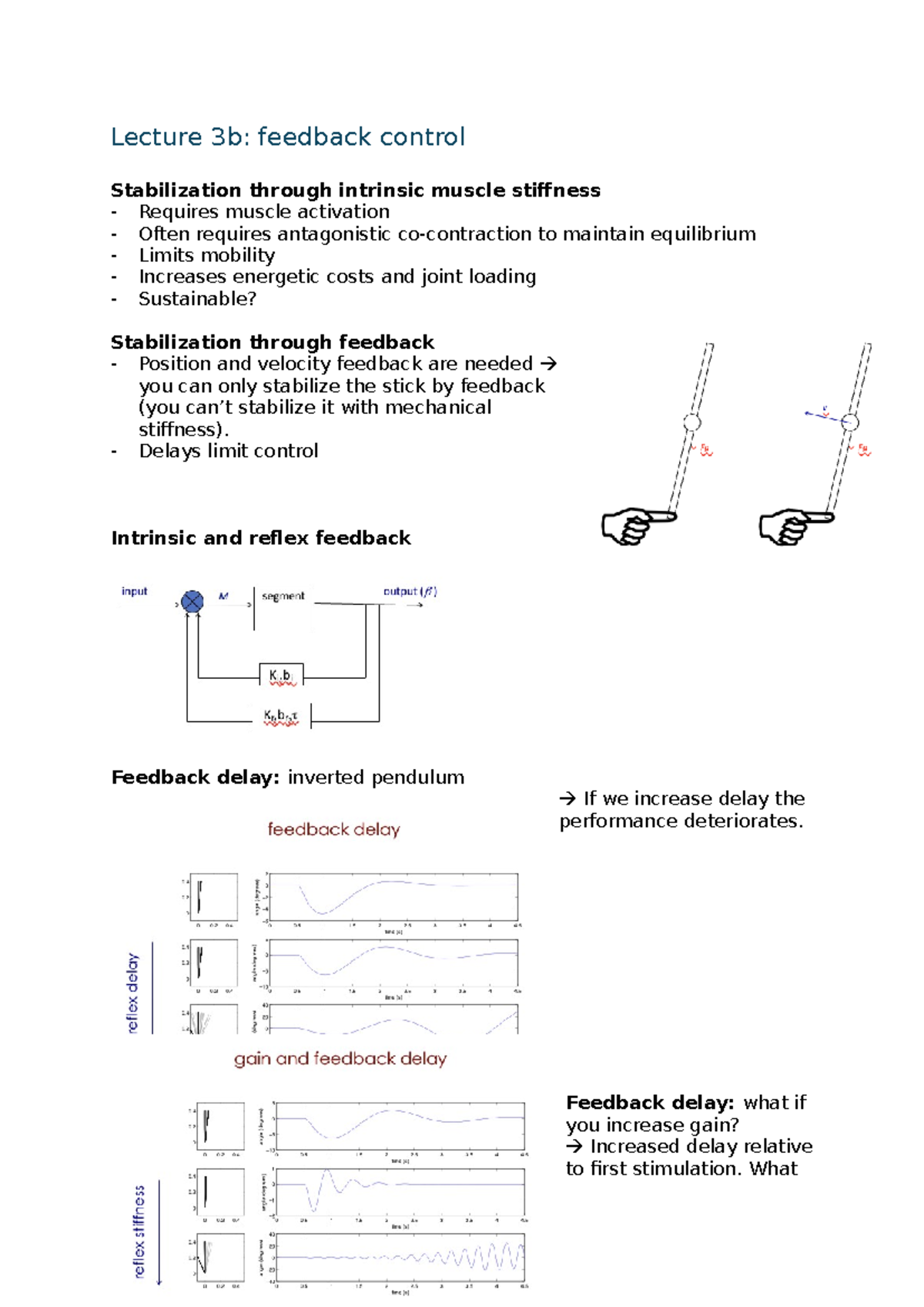 Lecture 3b: Concepts of Stability and Feedback Control in Muscles ...