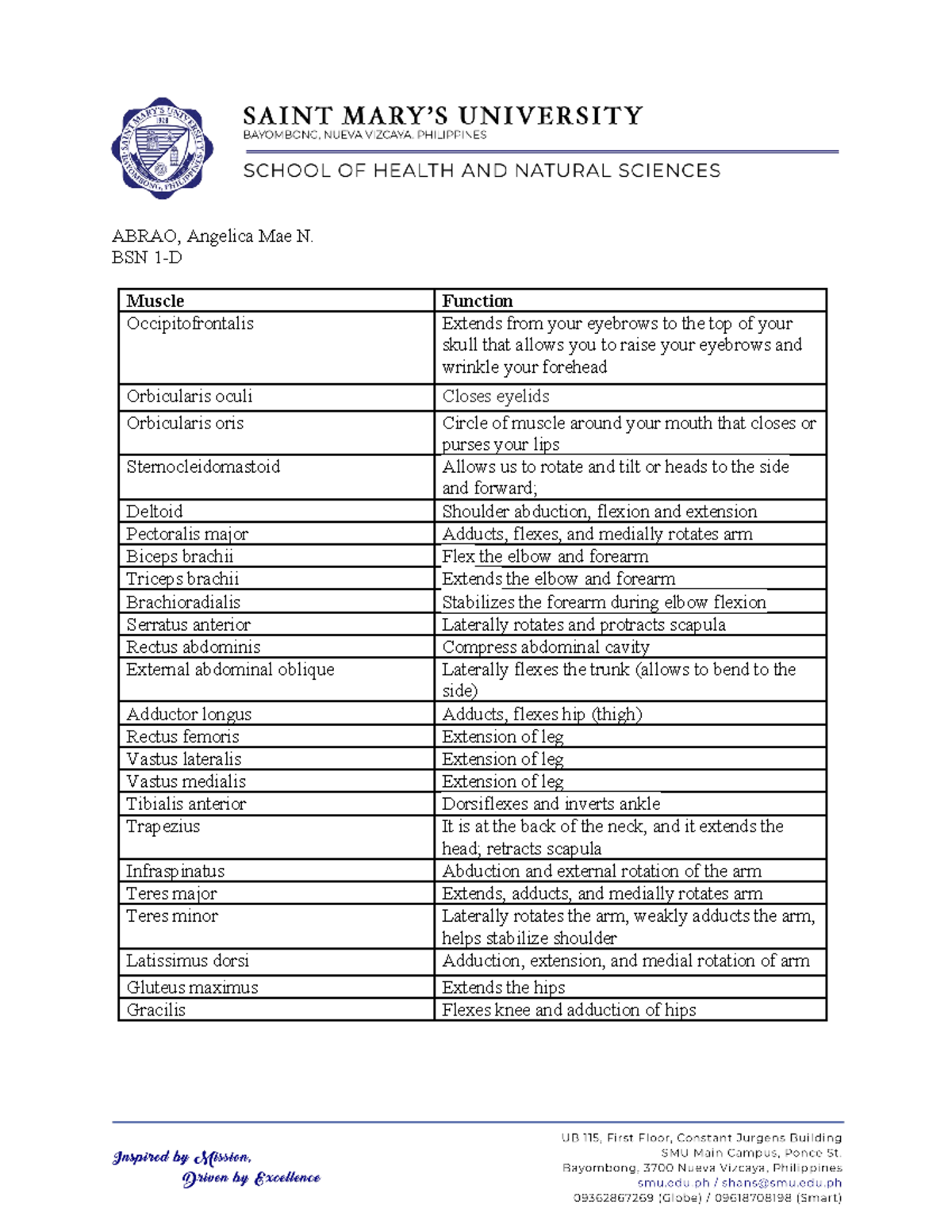 BSN 1-D Anatomy Notes: Muscle Functions and Actions Guide - Studocu
