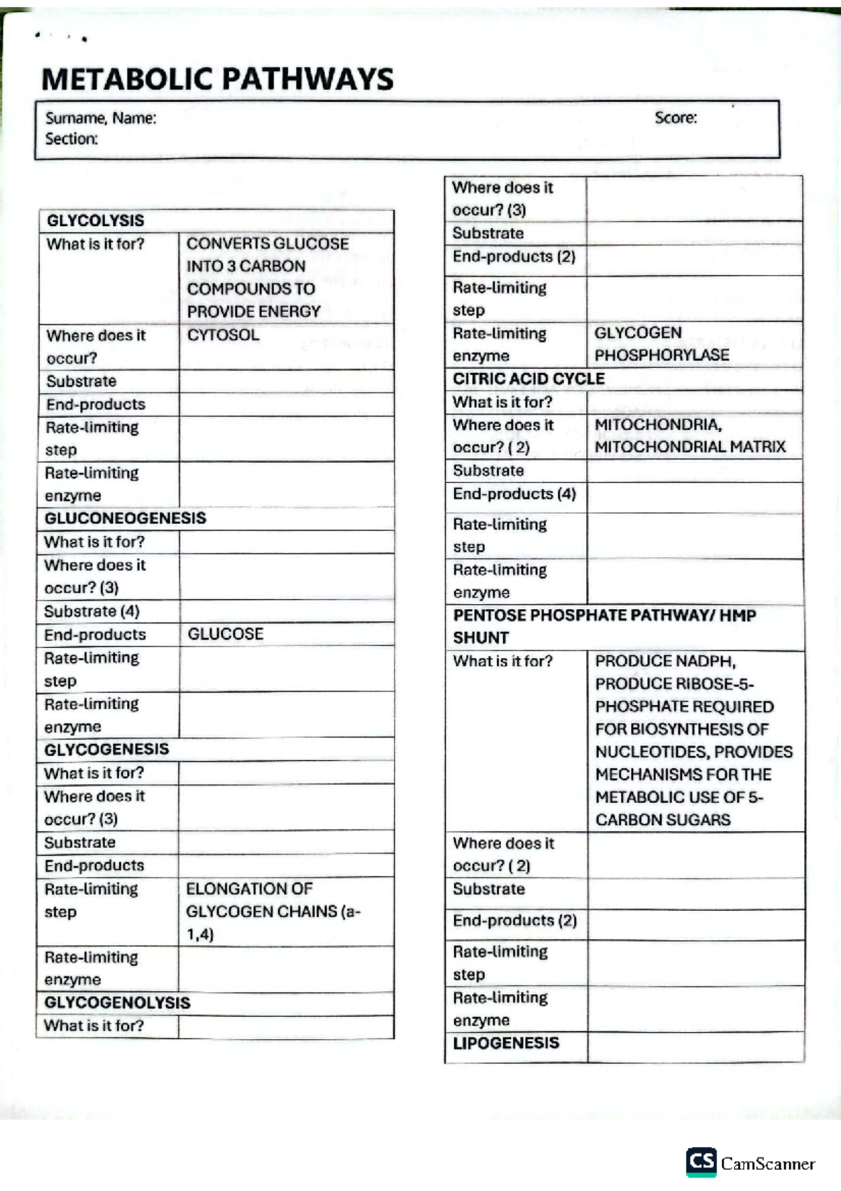 Metabolic Pathway Module Worksheet: Glycolysis & Citric Acid Cycle ...