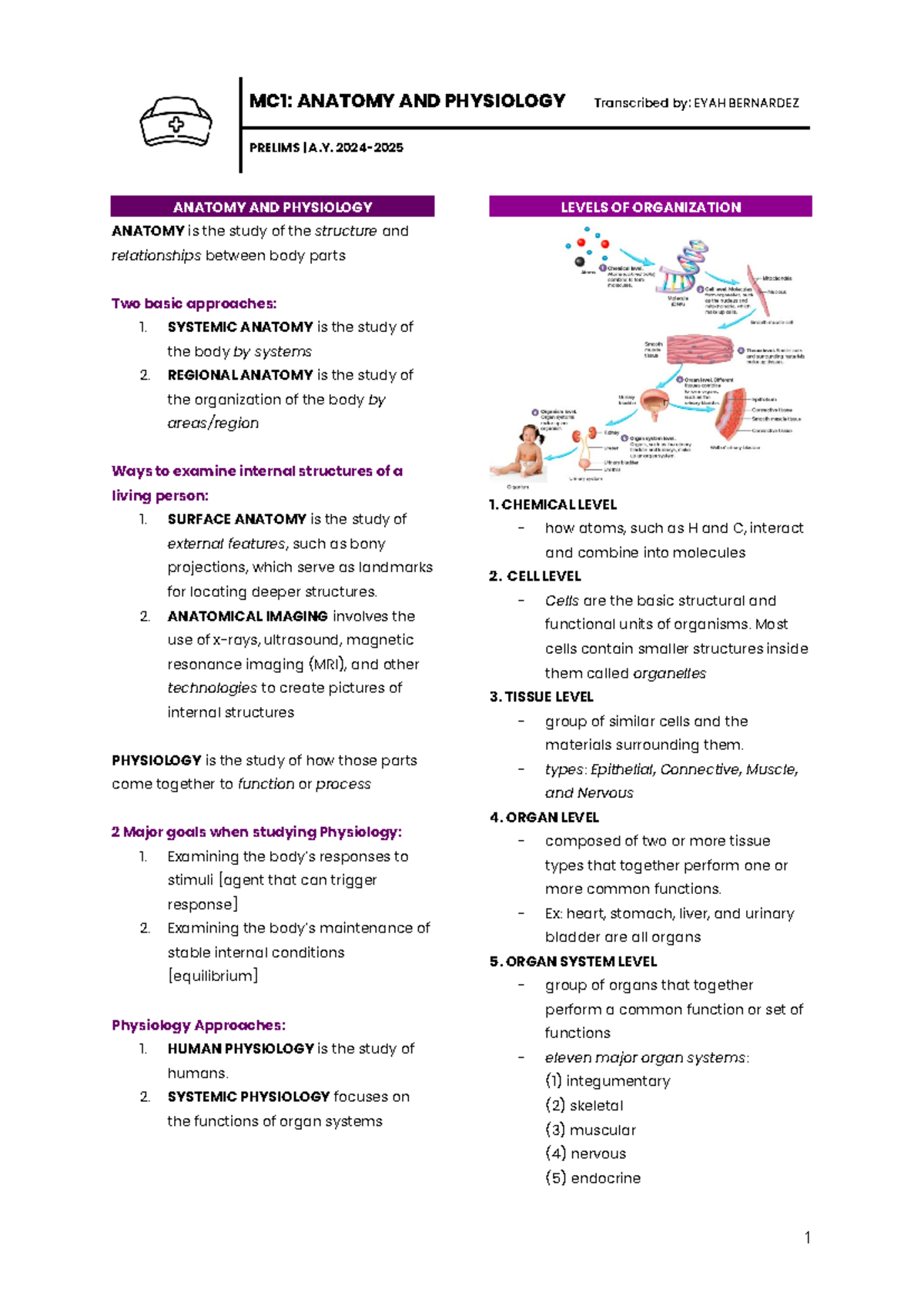 Anatomy and Physiology (Prelims) - PRELIMS | A. 2024- ANATOMY AND ...