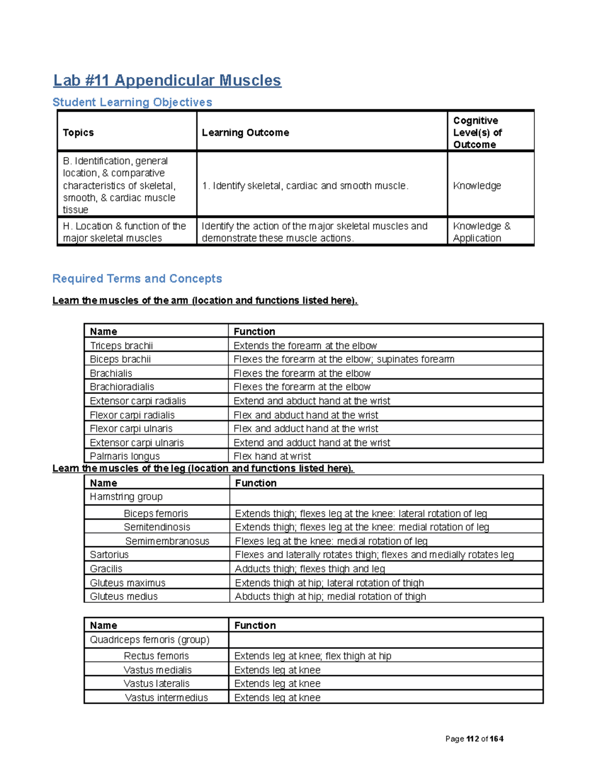 Lab #11: Anatomy & Functions of Appendicular Muscles for Anatomy 101 ...