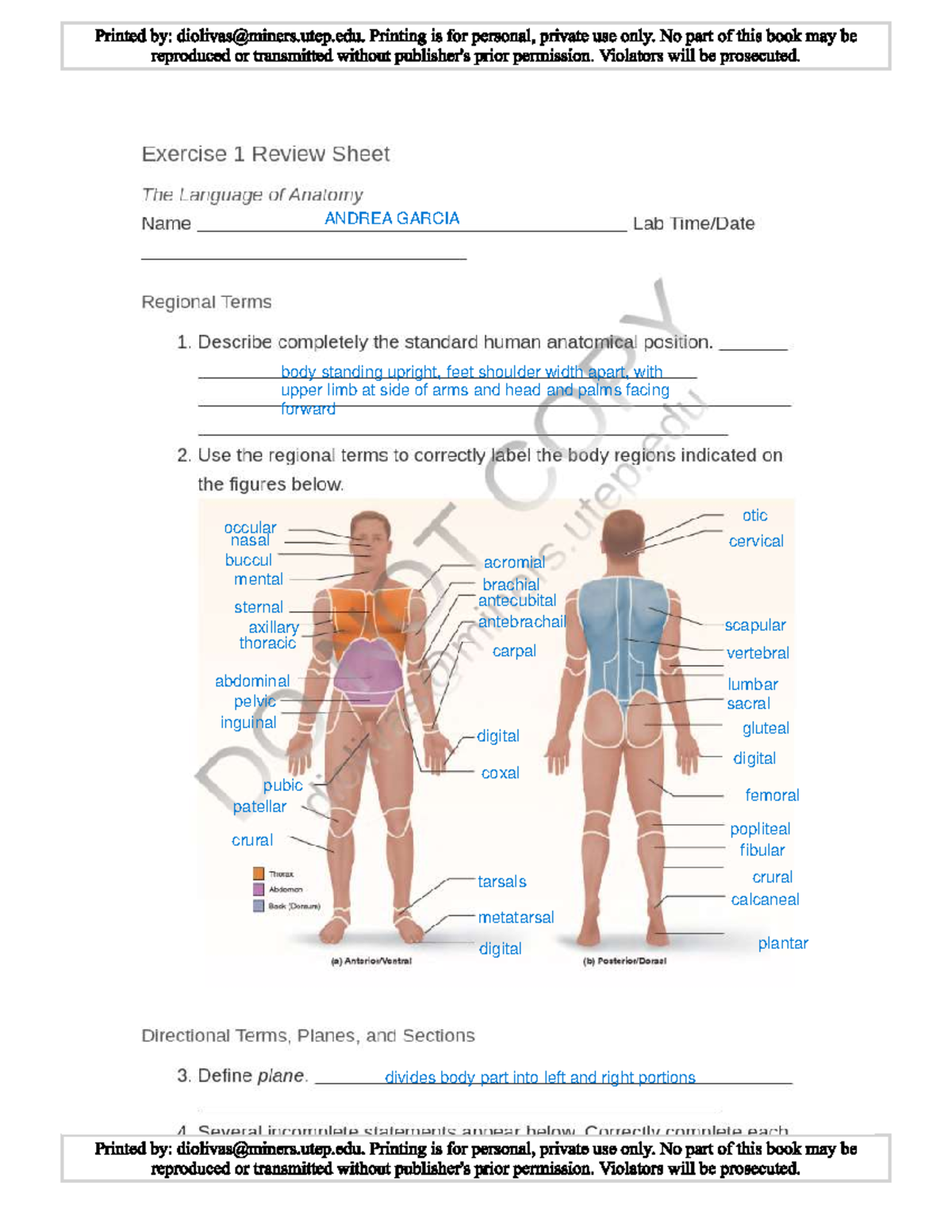 Lab worksheet pt 1 - BIOL 1403 - Studocu