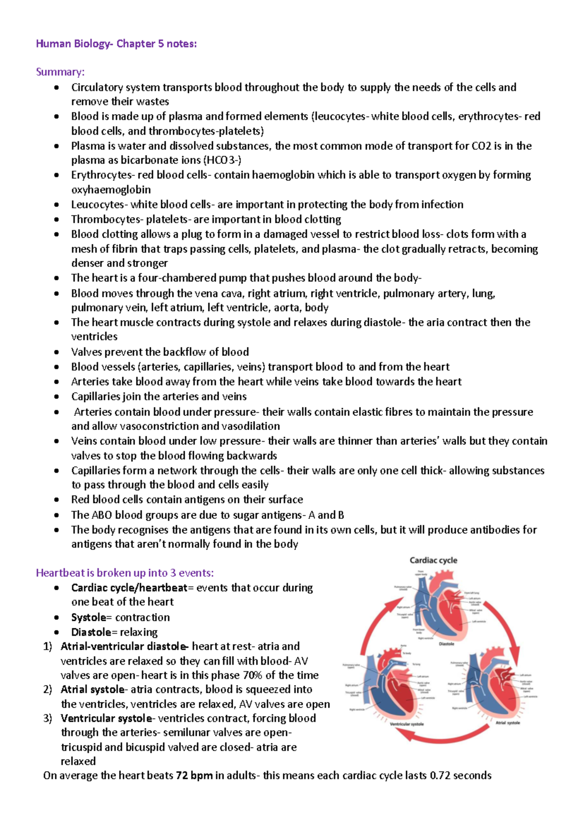 Chapter 5 Notes: Circulatory System Overview for Test 2 - Studocu