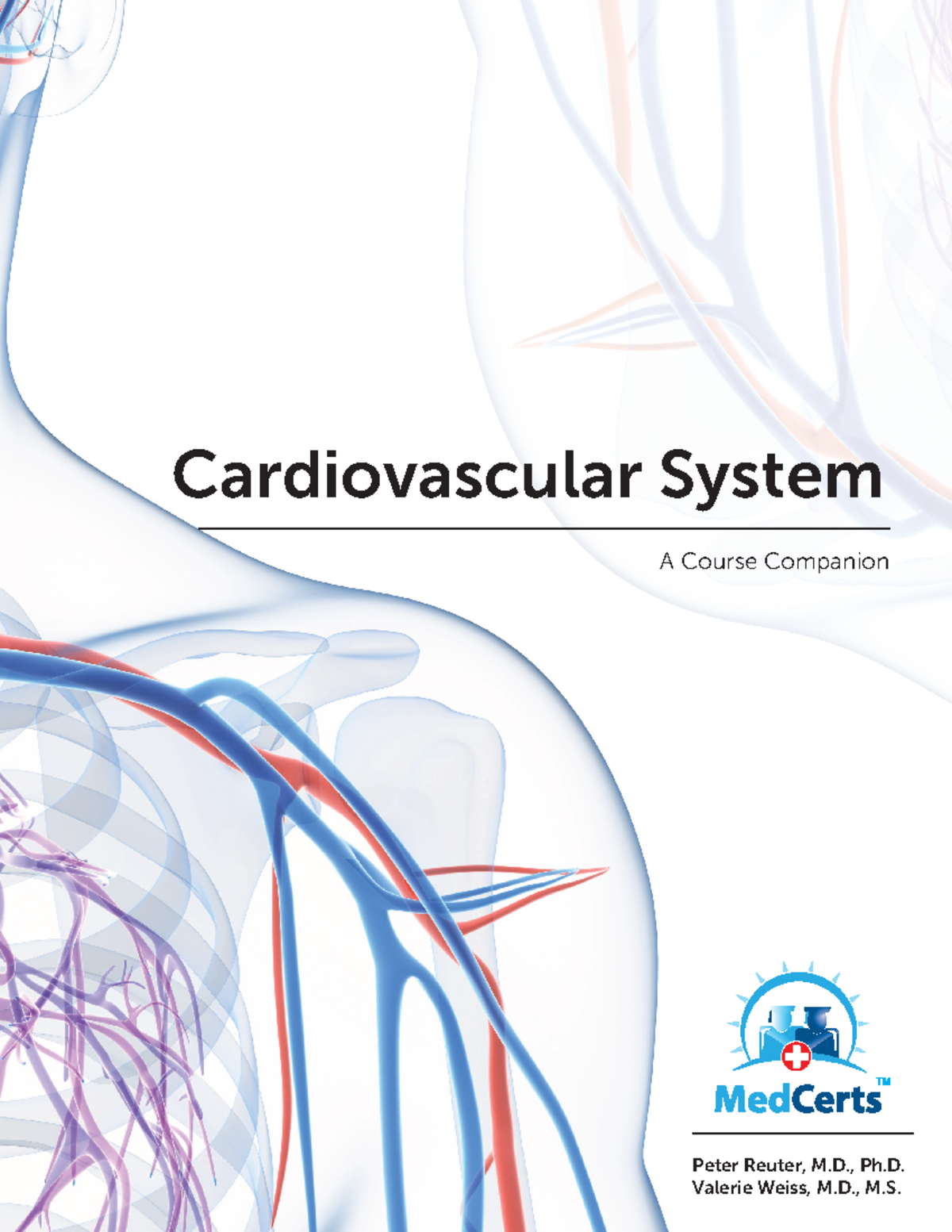 Module 11: Comprehensive Overview of the Cardiovascular System - Studocu