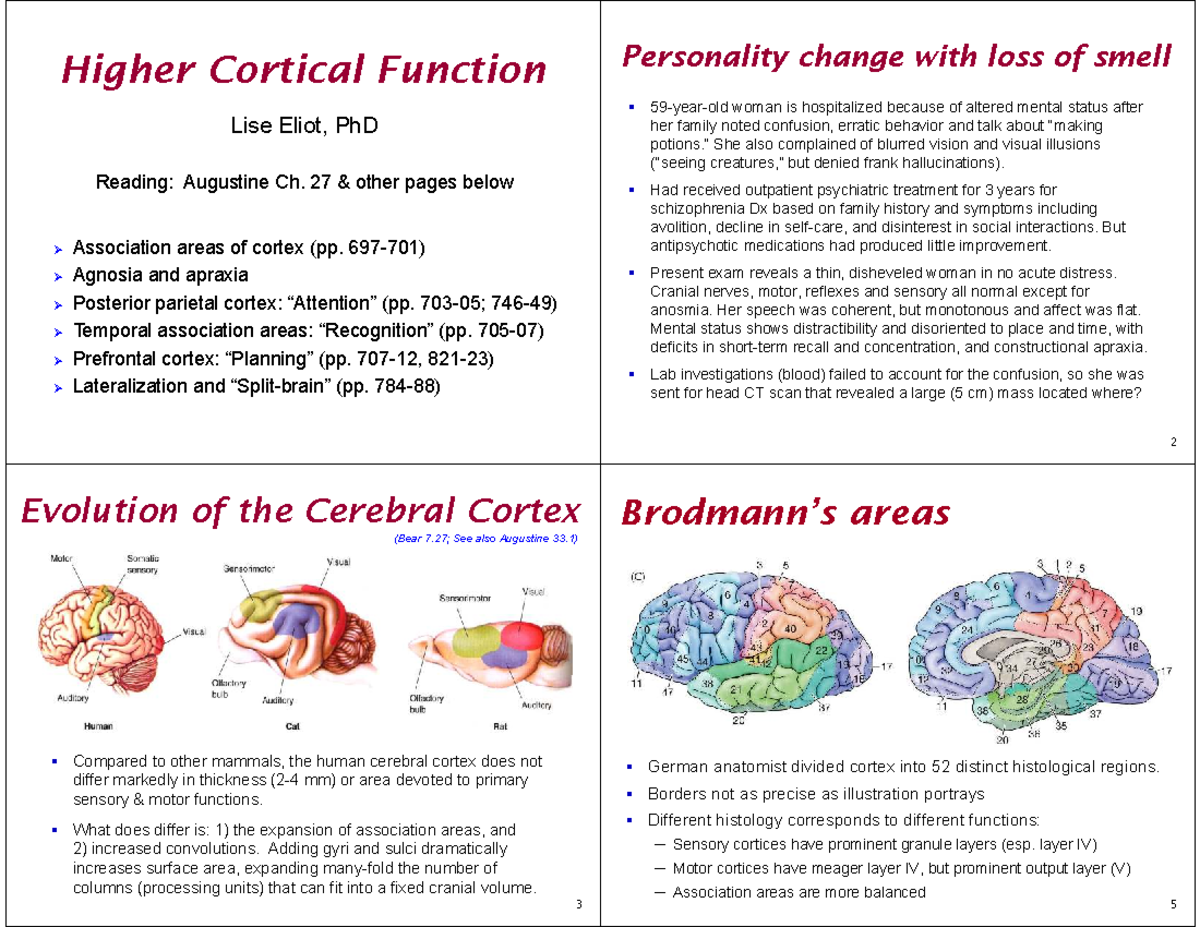 Understanding Apraxia and Neuroanatomy: Insights from Neuropsychology ...