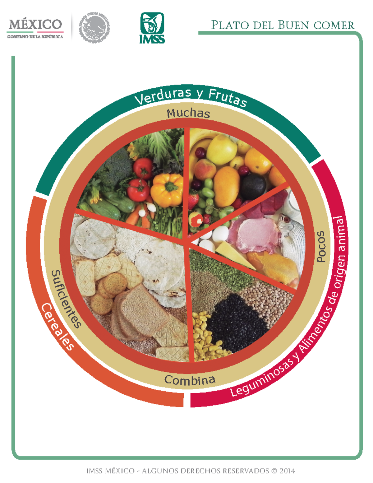 Plato DEL BIEN Comer - importancia de la nutricion - Nutricion - IMSS